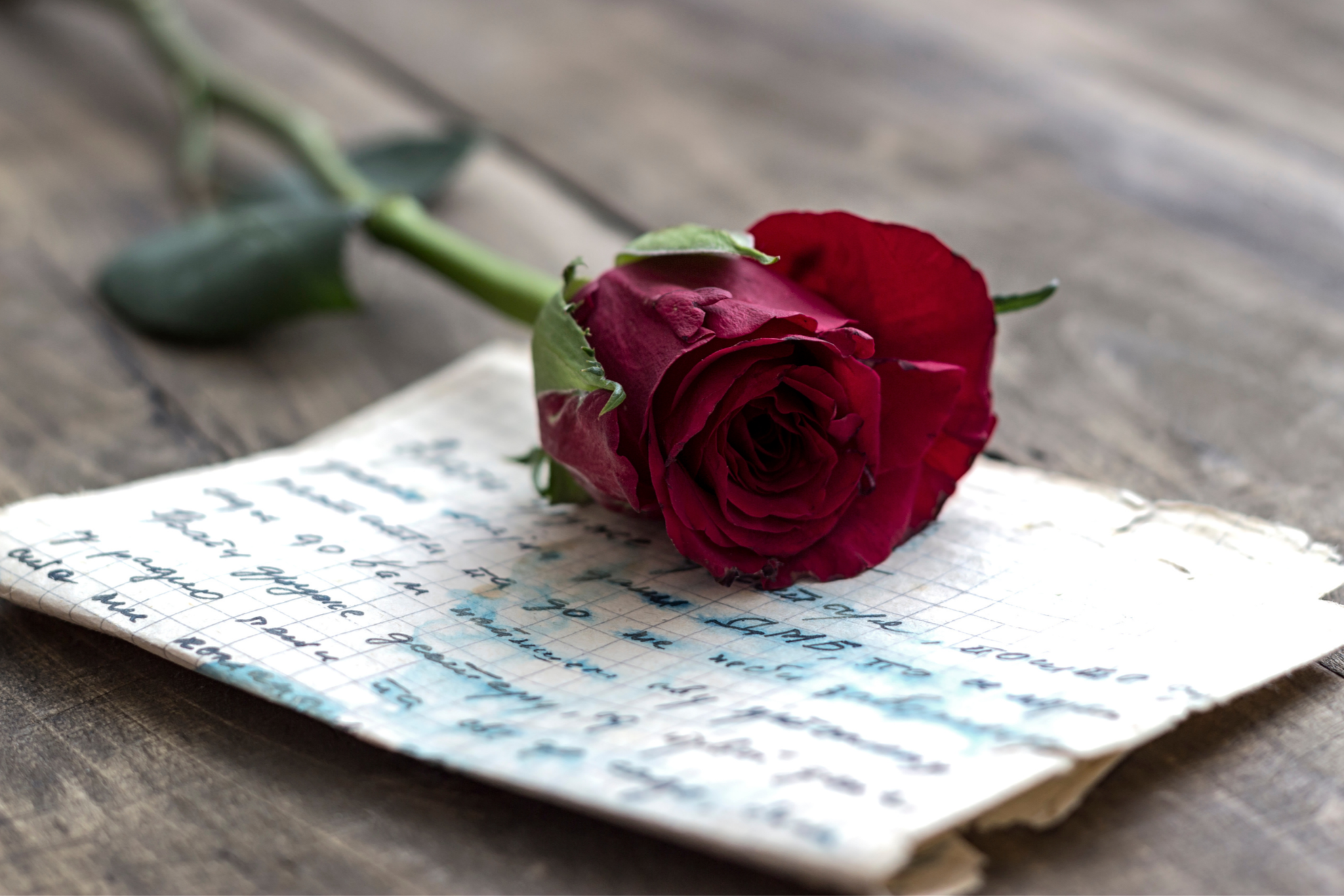 OnlyVibes Open to Love: A red rose lying on a handwritten letter on a wooden surface. Display this vibe when you want to meet someone special in real life.