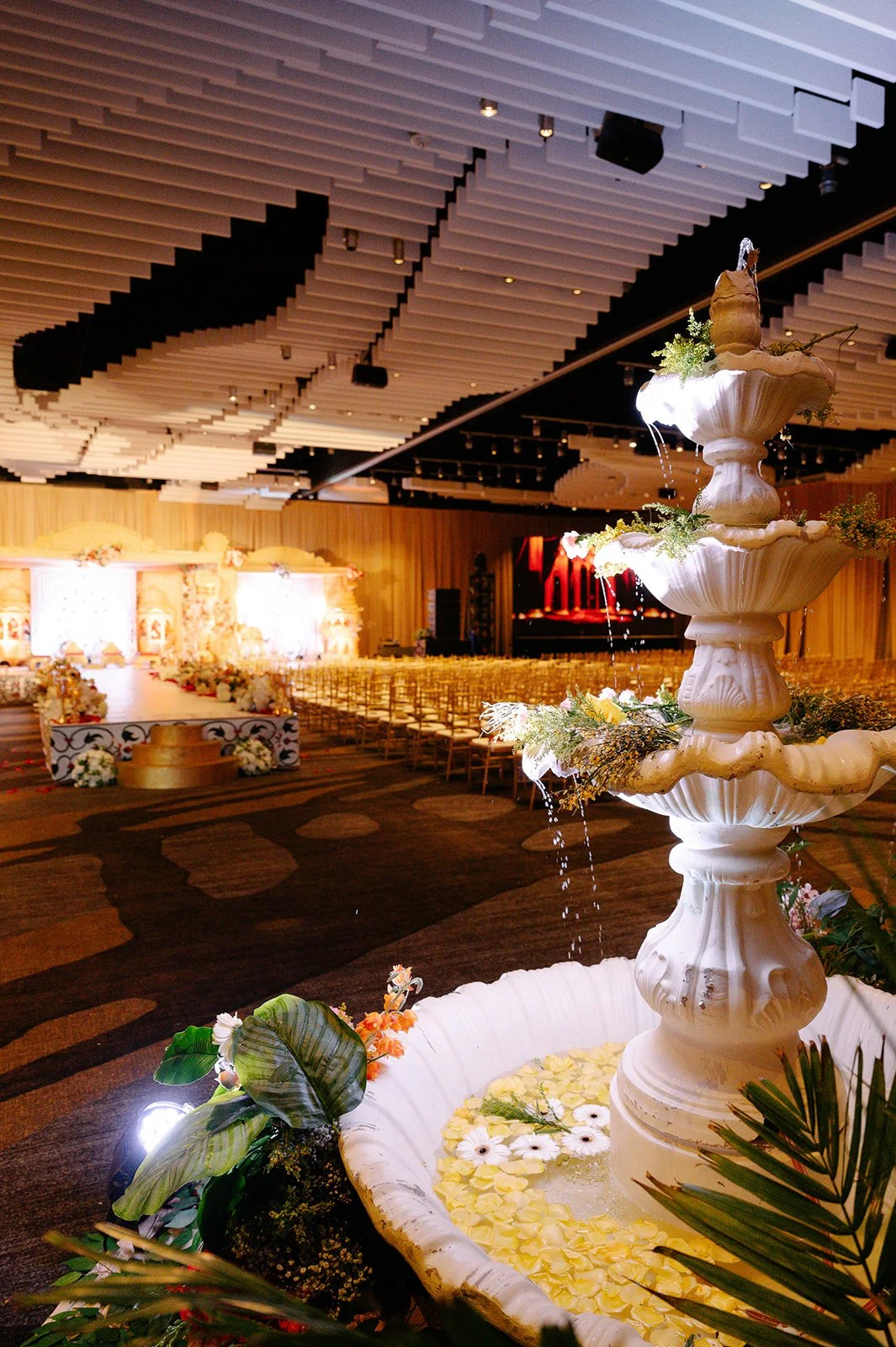 15 DJ1_5827_websize.jpg