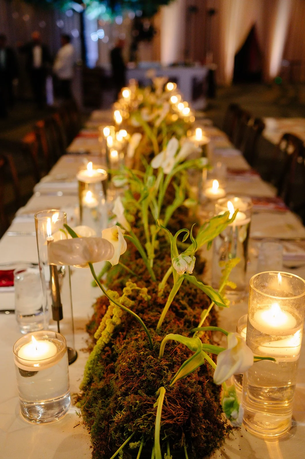 133 JJ1_0804_websize.jpg