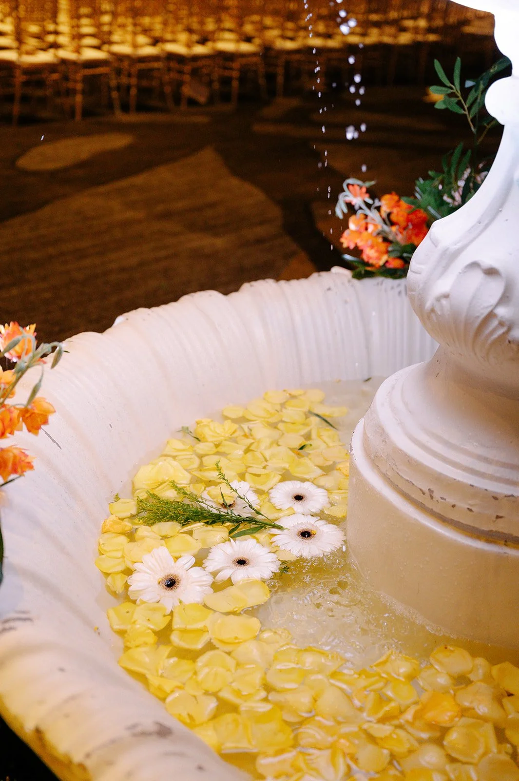 18 DJ1_5852_websize.jpg