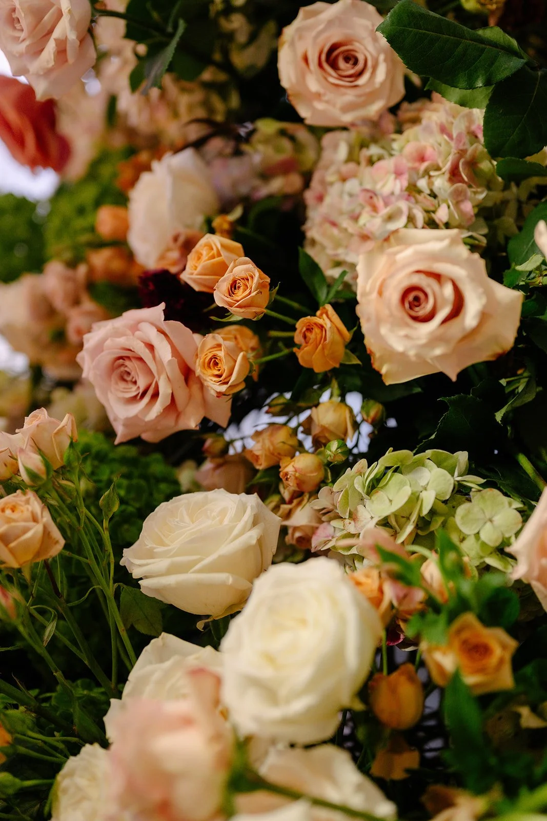 112 J63_3198_websize.jpg