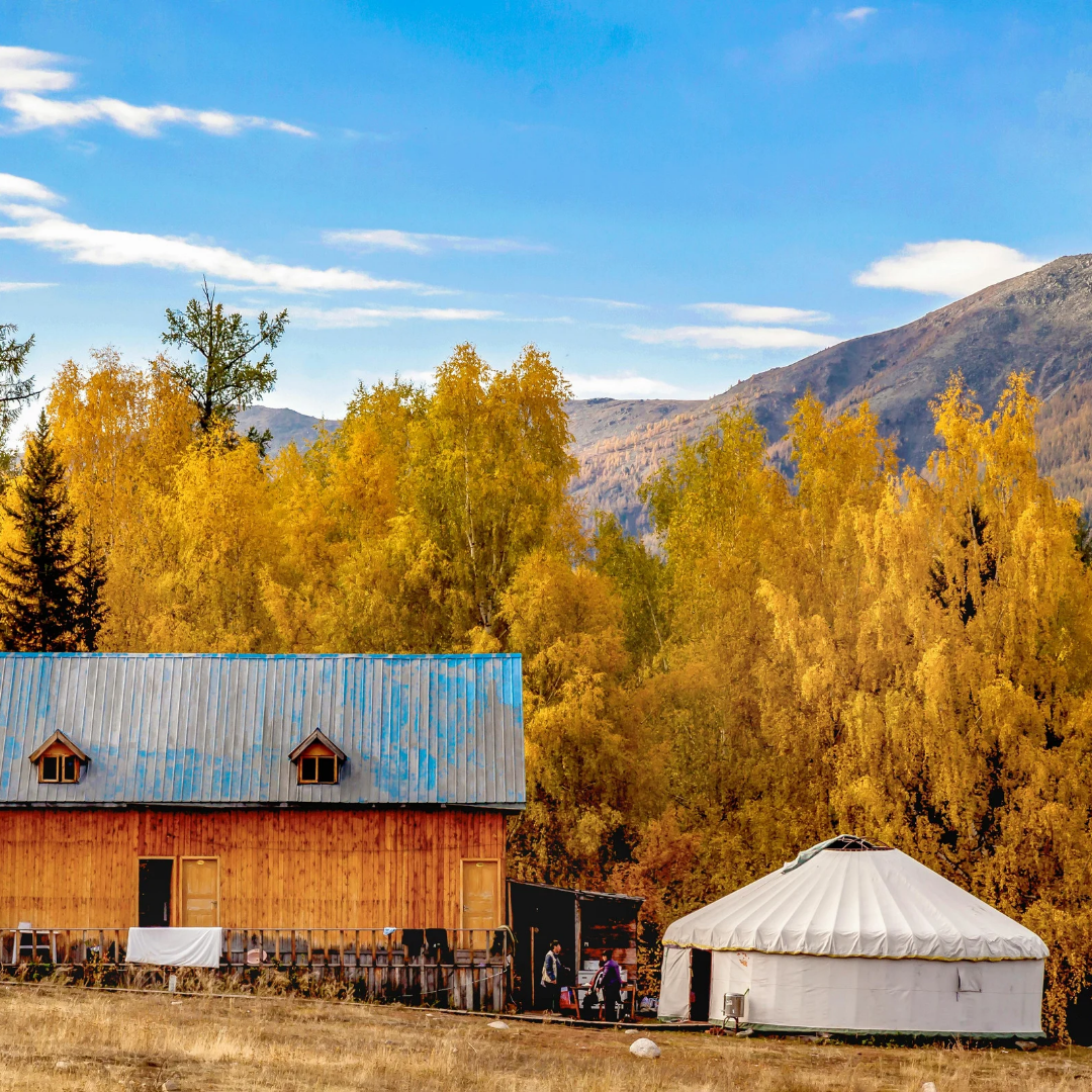 [Free Care Package for Verified Omnia Host Sites]