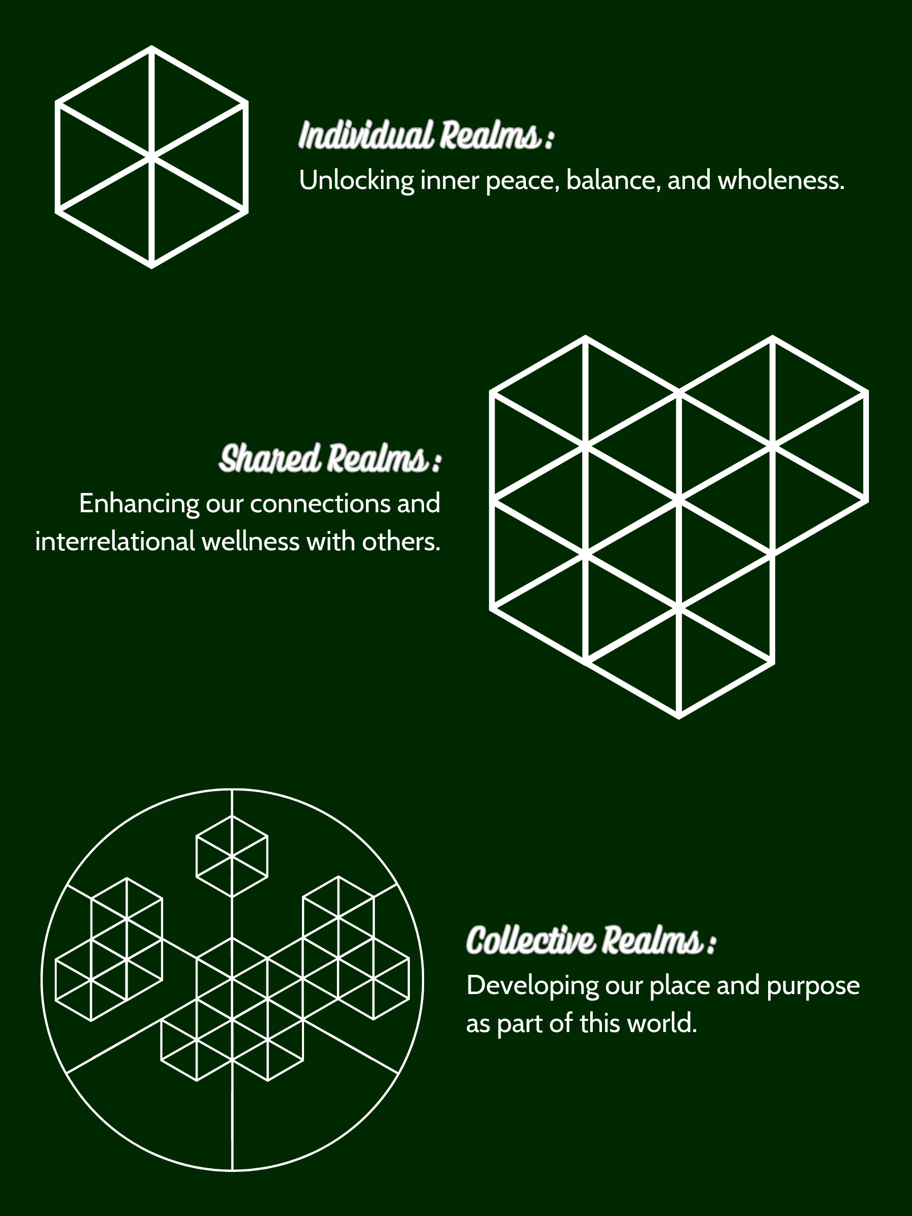 Graphic with geometric patterns and text discussing individual, shared, and collective realms of wellness and purpose on a dark green background.