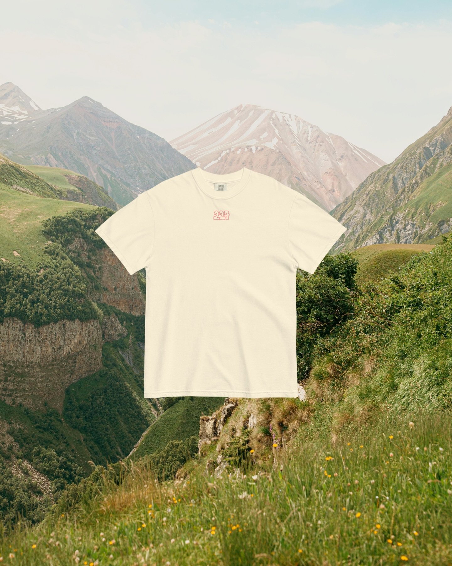 Psalm 145:3
 &ldquo;Great is the Lord⁠, and greatly to be praised; and his greatness is unsearchable.&rdquo;
He is great 224. 2day, 2morrow, 4ever.