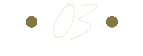 Custom number 03 icon