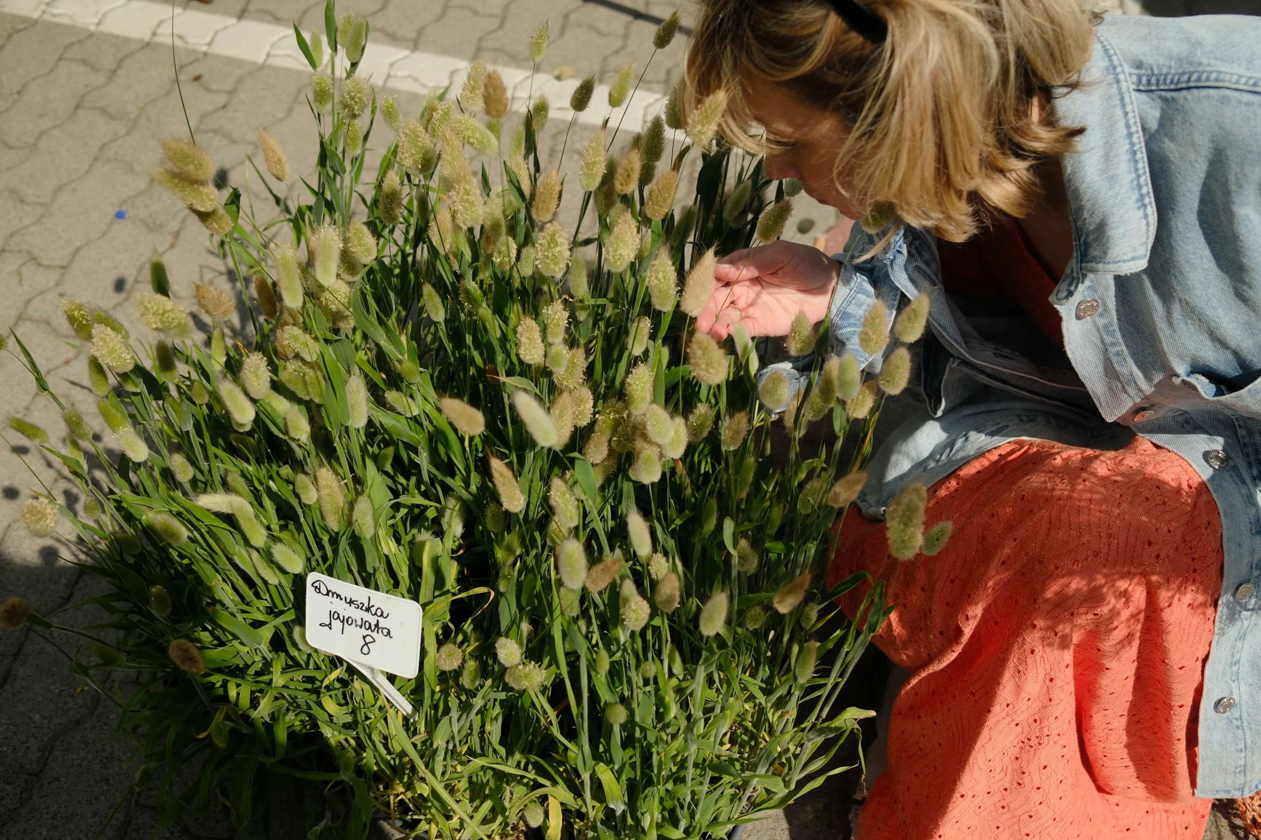 Woman smelling flowers in a peaceful garden