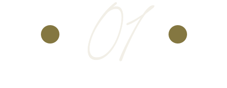 Custom number 01 icon
