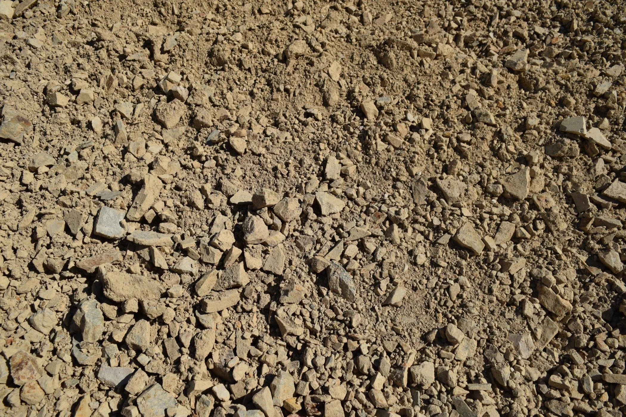 Close-up of beige gravel and small rocks on the ground.