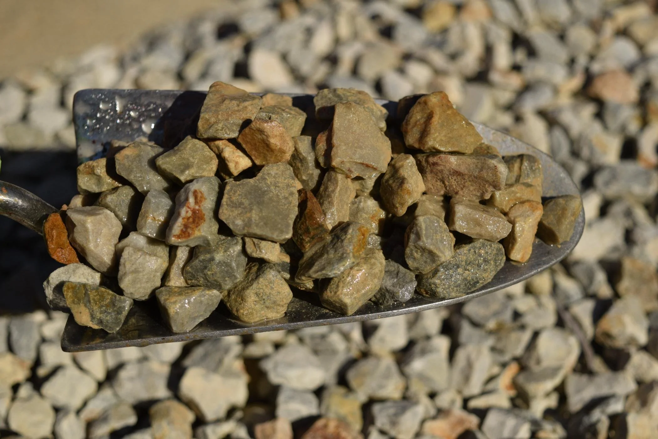 Close-up of small rocks in a metal scoop, with more rocks blurred in the background.