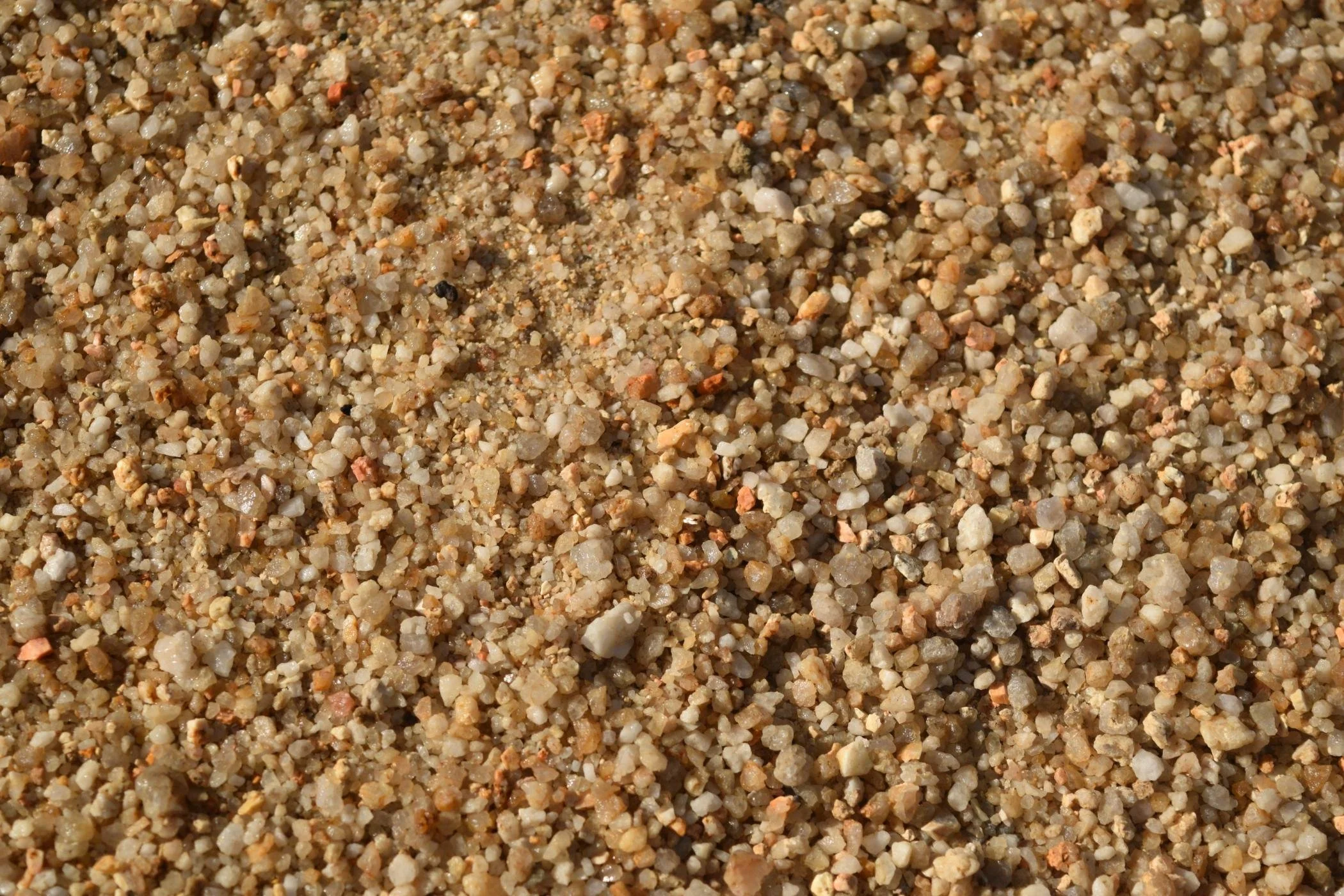 Close-up of a sandy surface with small grain particles in various shades of tan, beige, white, and brown.
