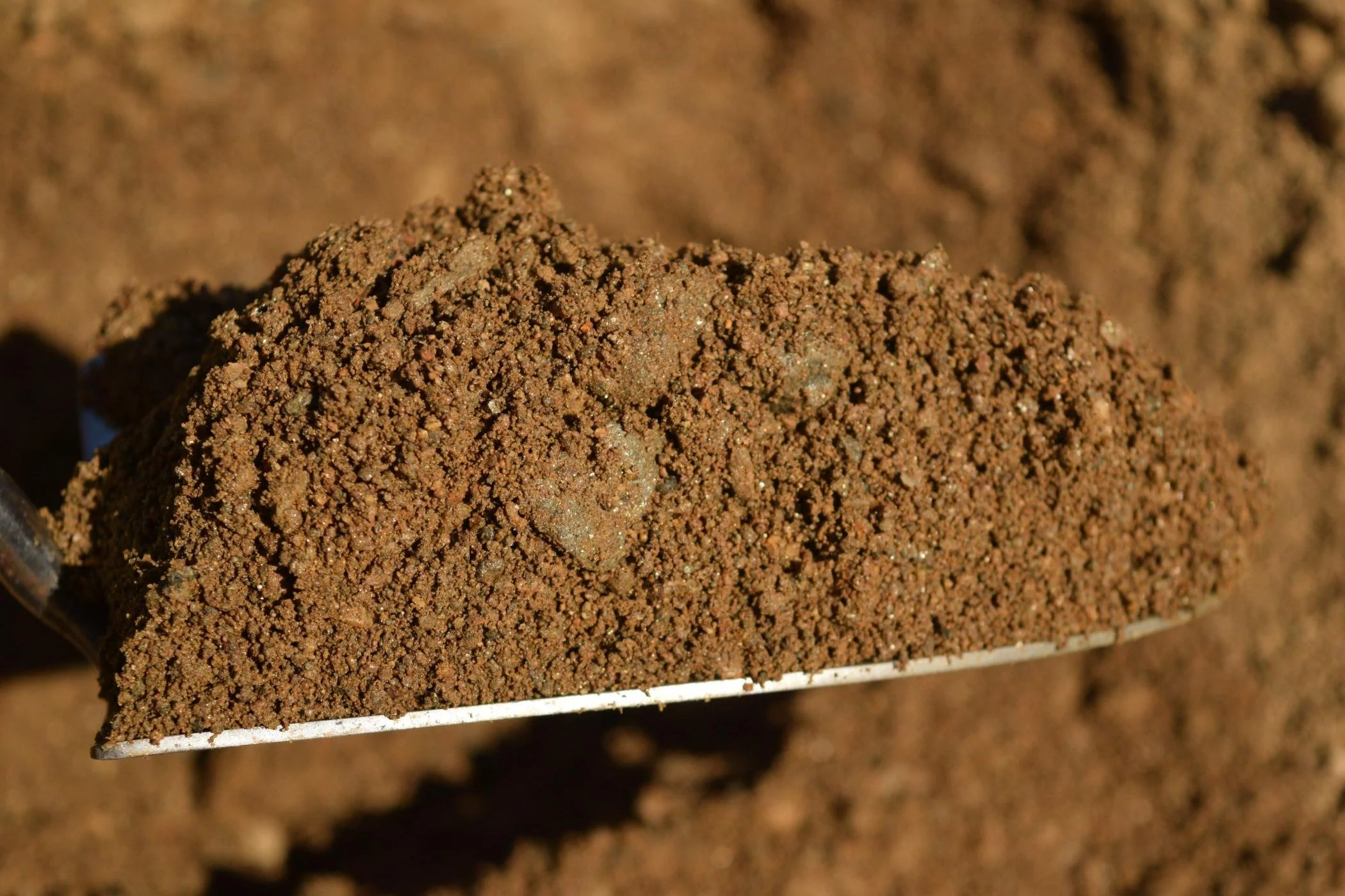 Close-up of a pile of brown, granulated soil or ground coffee on a white surface.