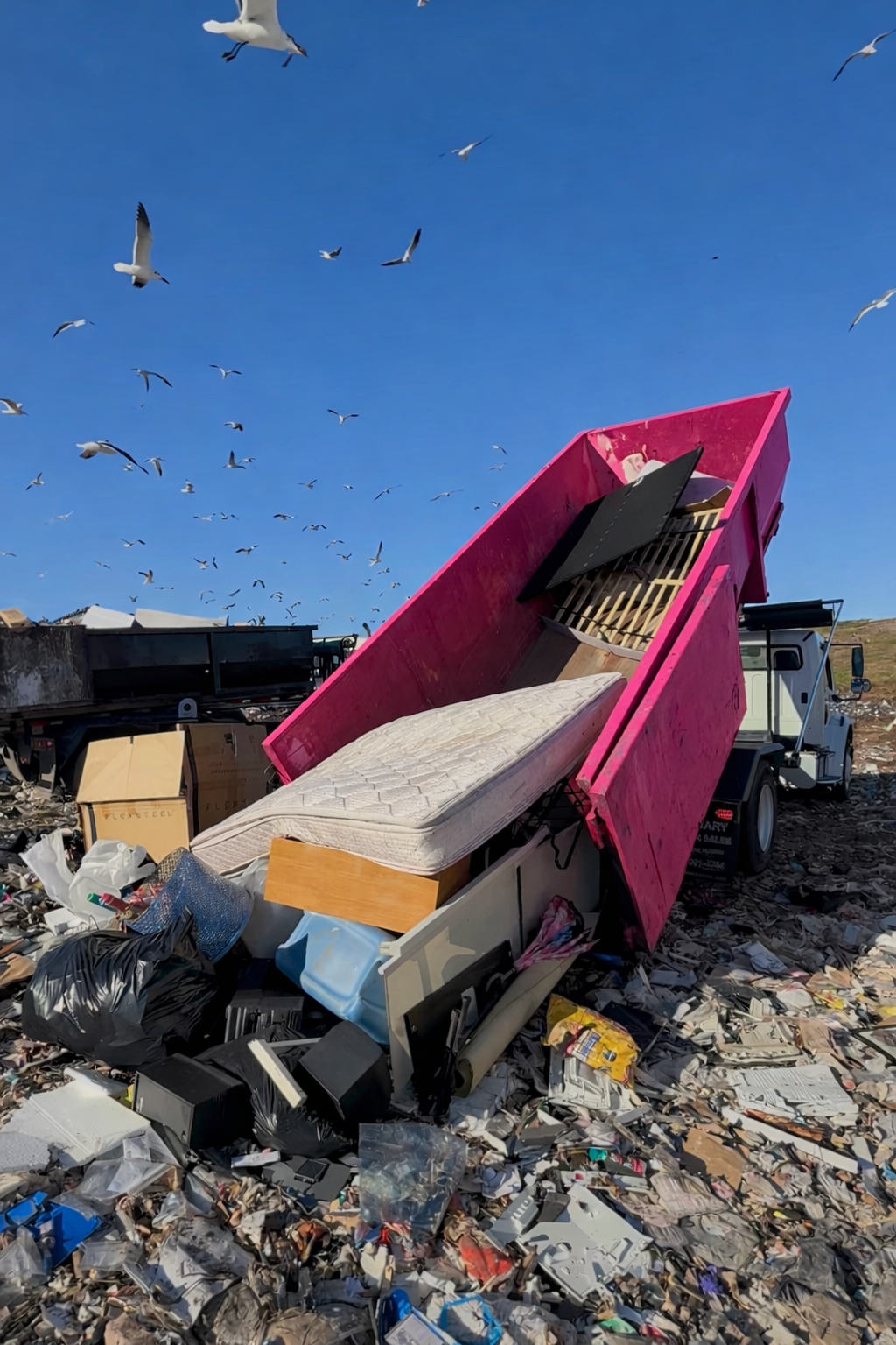 A pink dumpster container is tilted with trash and furniture spilling out at a landfill site under a clear blue sky, with seagulls flying overhead.