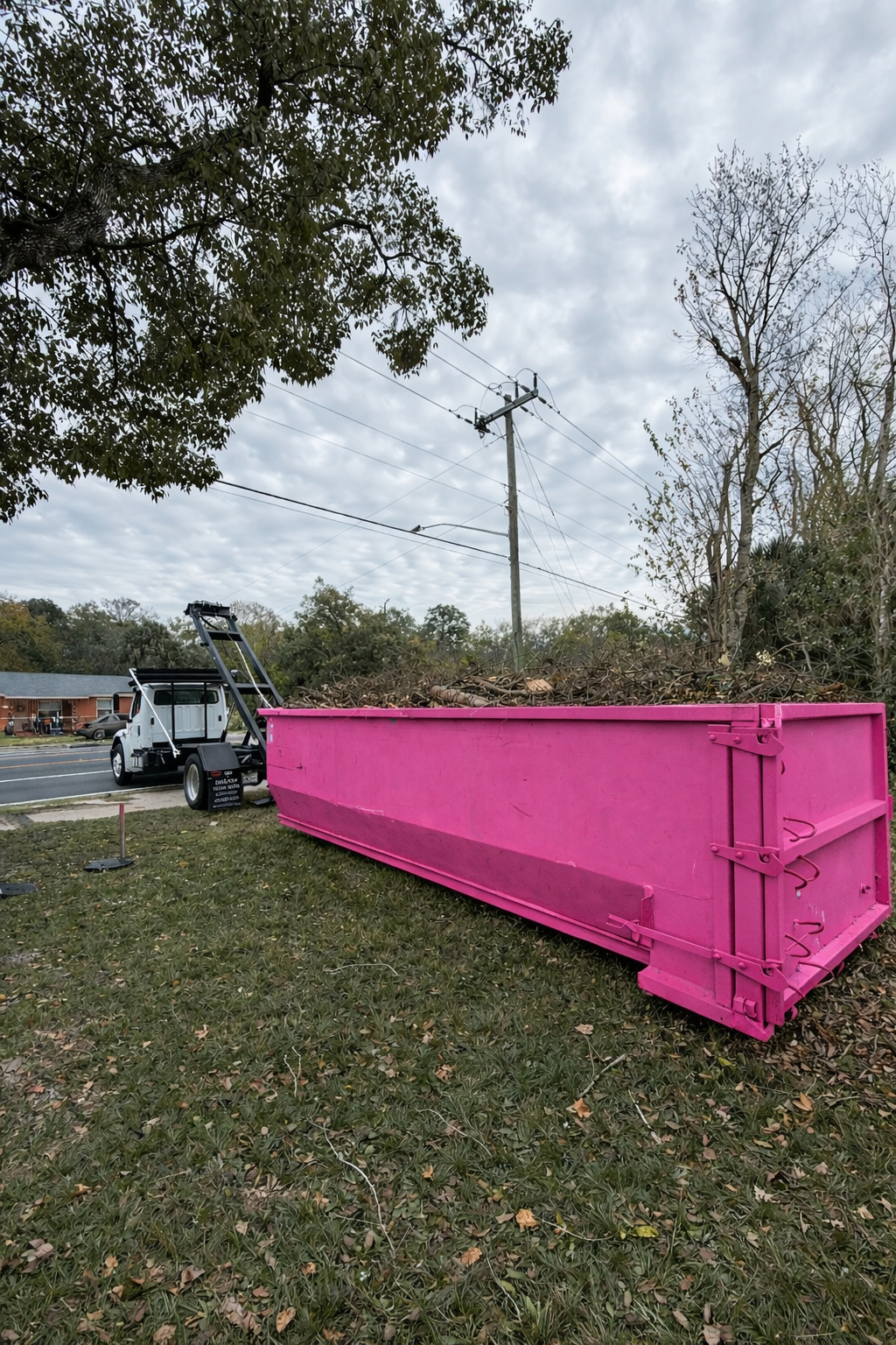A pink dumpster filled with tree branches and yard debris near a street and a utility pole, with a tree and overcast sky in the background.