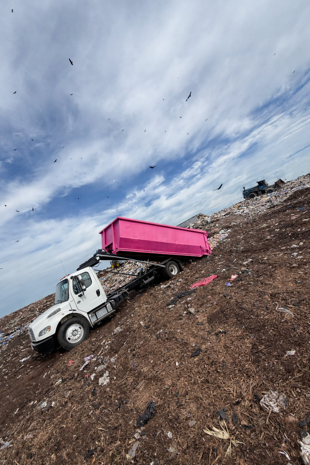A white dump truck with a pink container on its bed, tilted on a dirt hill at a landfill. The sky is cloudy with many birds flying overhead and additional trucks in the background.
