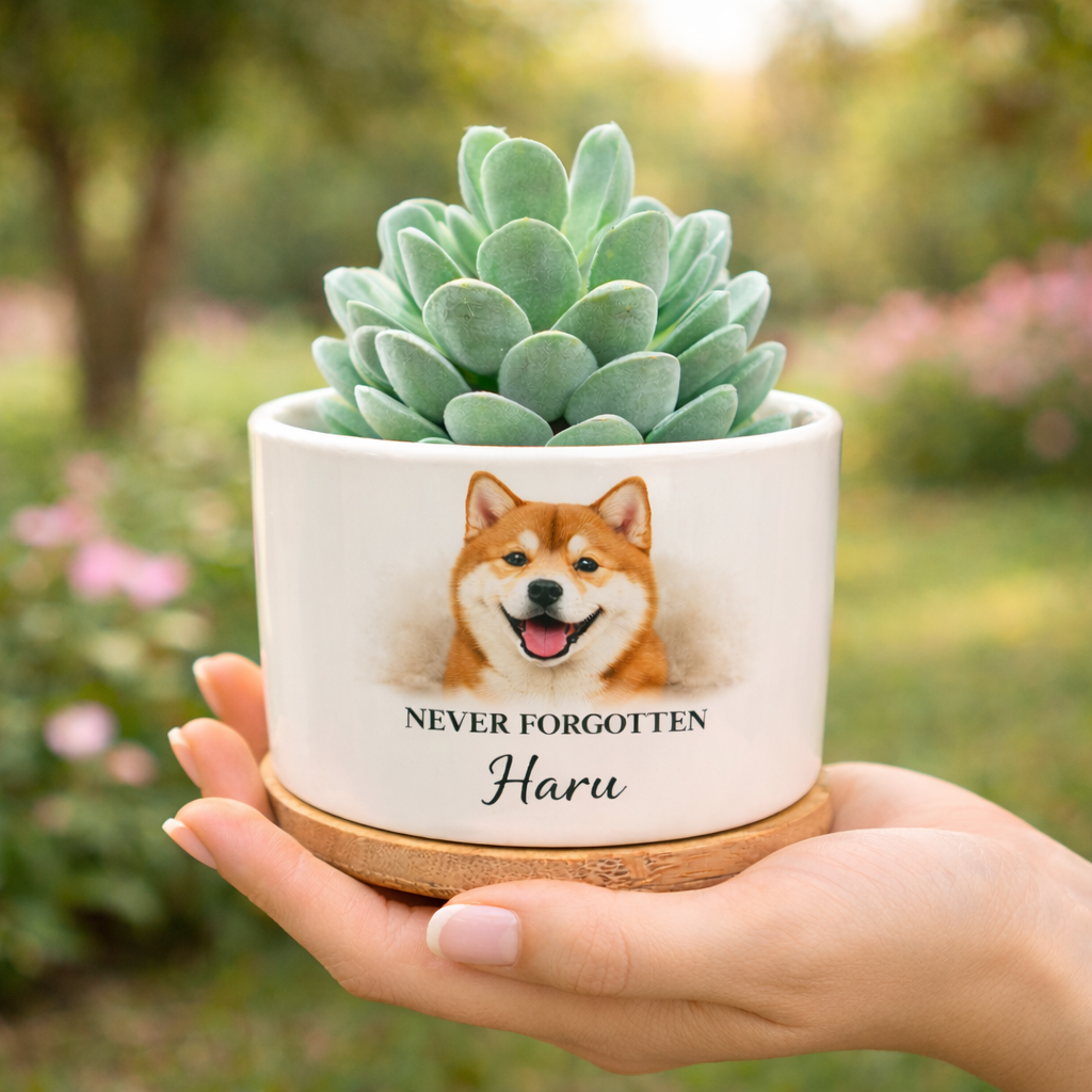 Nature’s Continuance