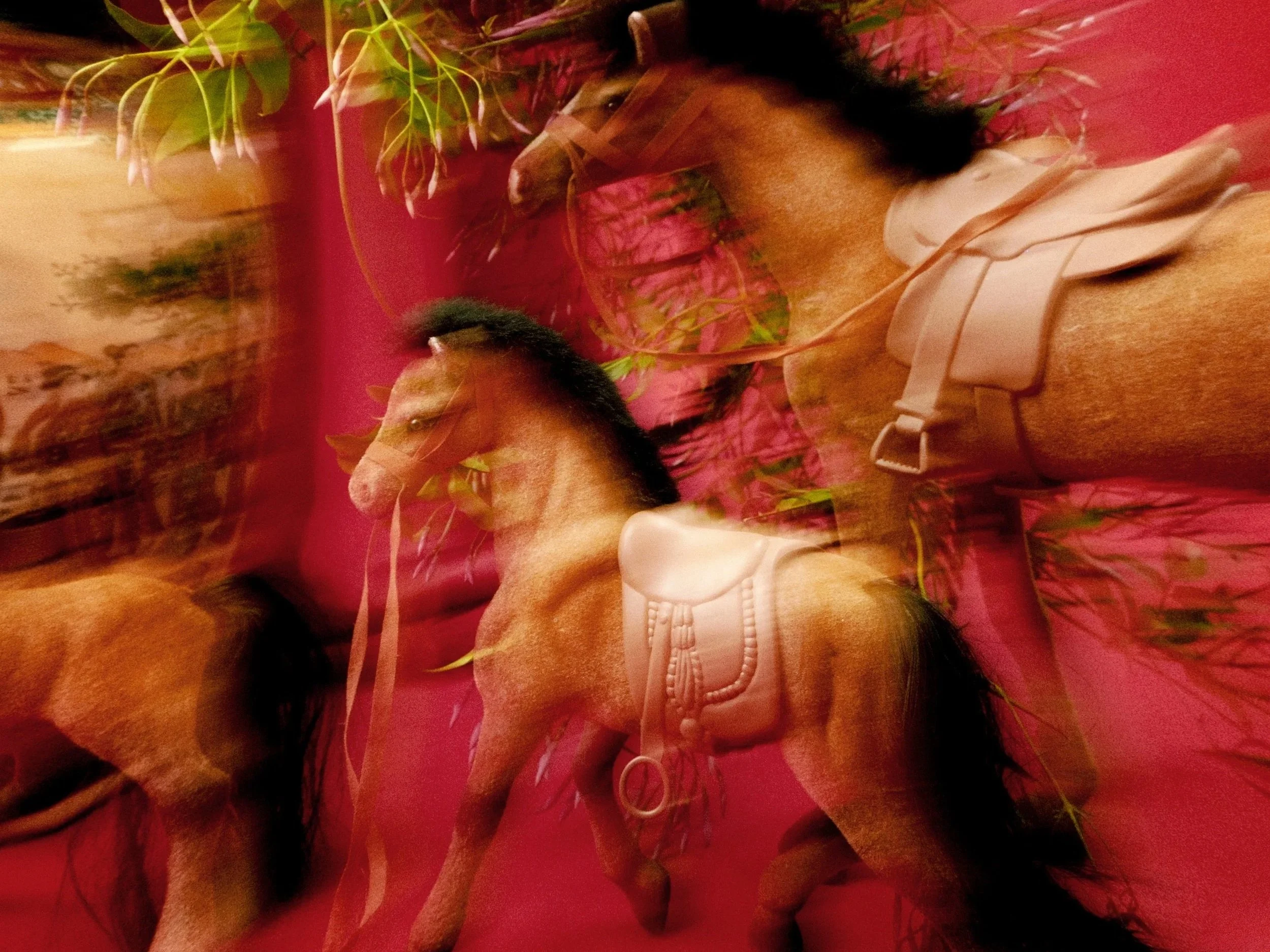 Year of the Horse