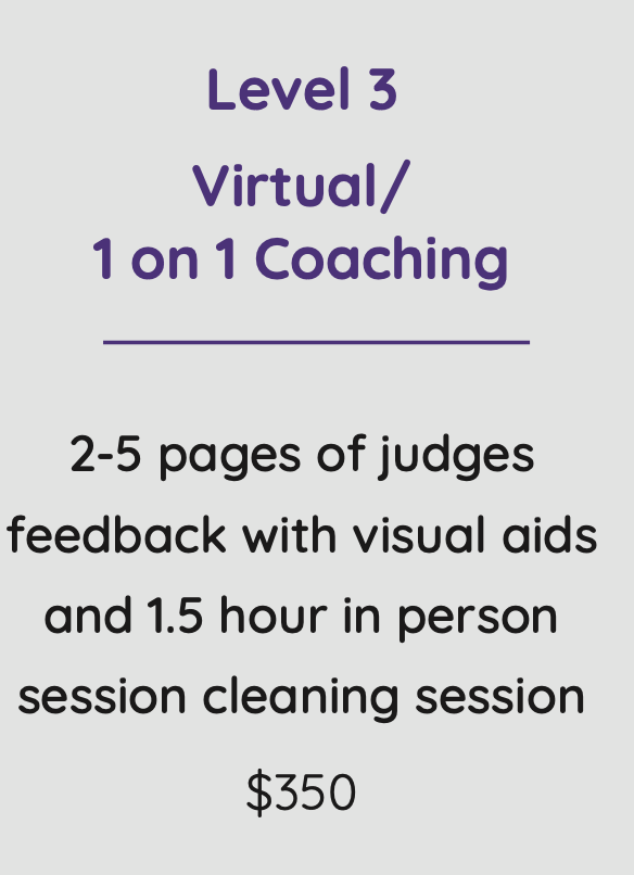 Level 3 Virtual 1 on 1 Coaching offer, includes 2-5 pages of judges' feedback with visual aids, and 1.5 hour in-person session, priced at $350.