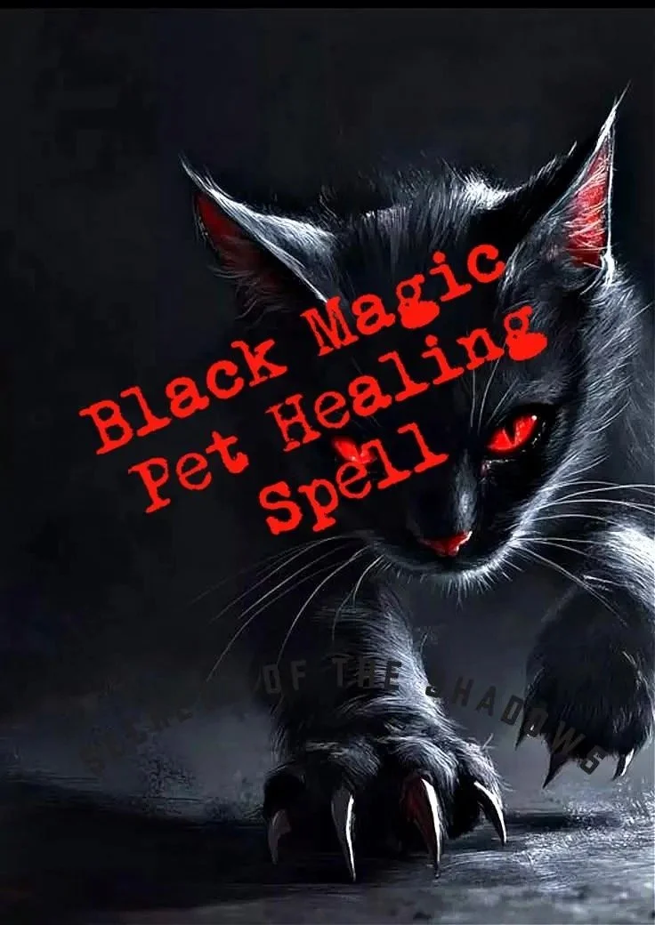 Black Magic Pet Healing Spell By Secrets of the Shadows