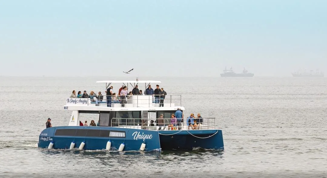 WhatsApp Image 2025-11-27 at 7.45.44 AM.jpeg