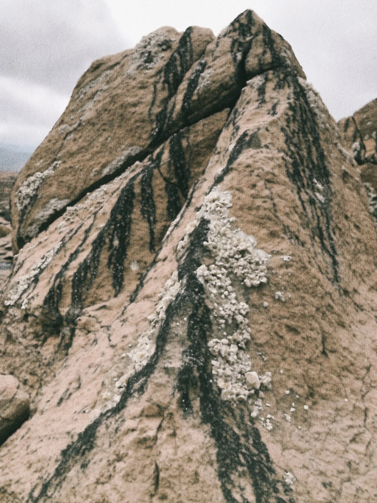 Close-up of a large rock with black veins and white mineral deposits on a cloudy day.