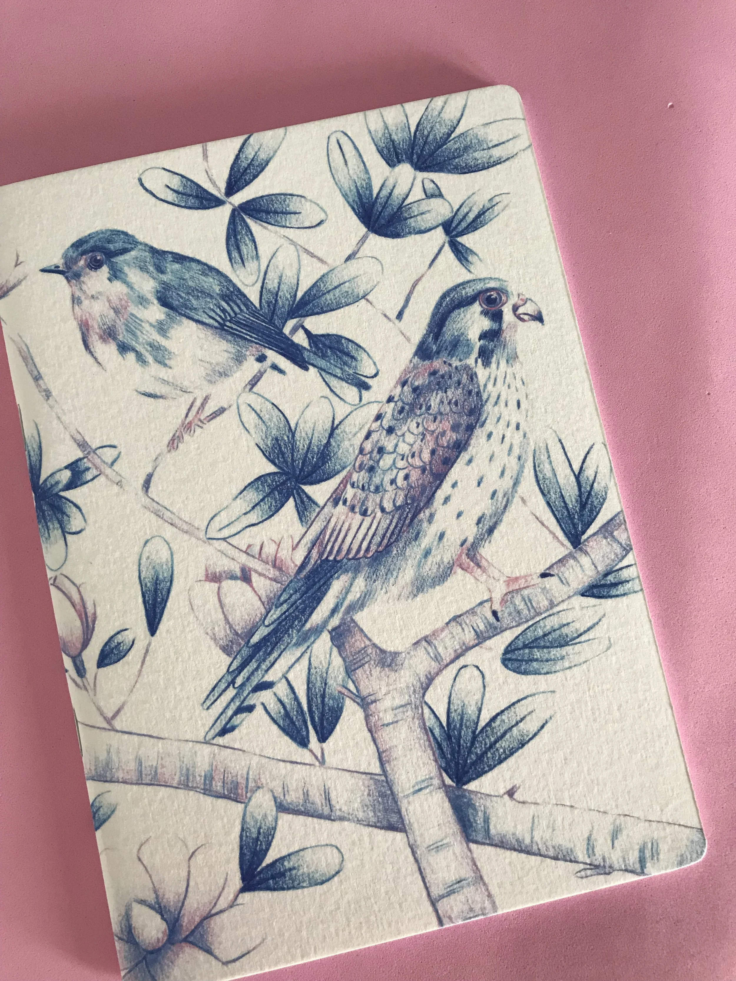 Cuaderno pájaros