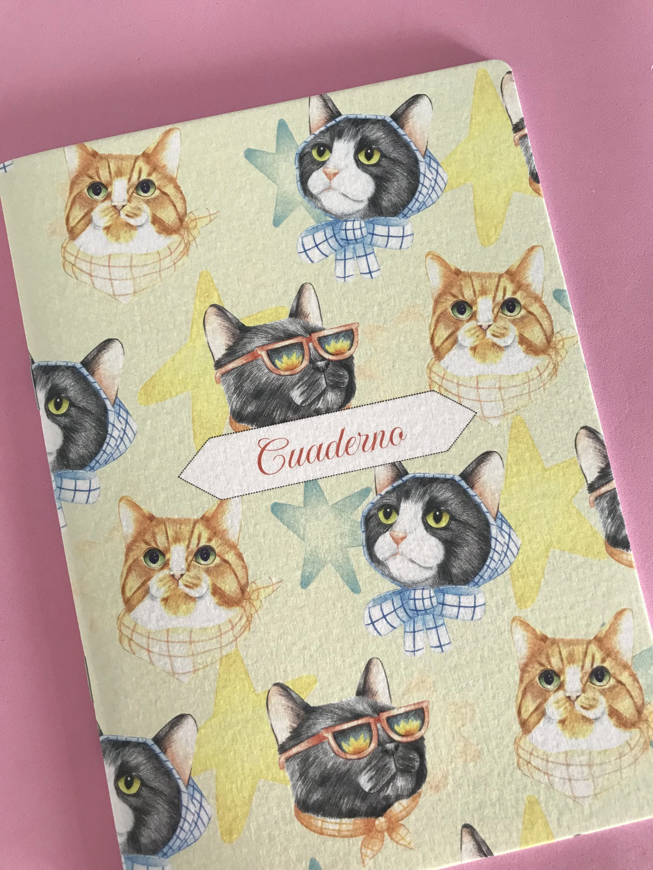 Cuaderno gatos