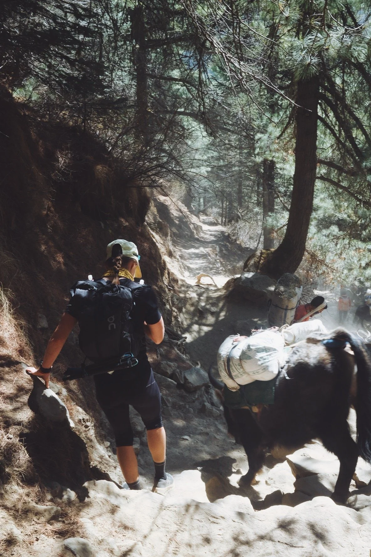 DSCF7177_VSCO.JPG