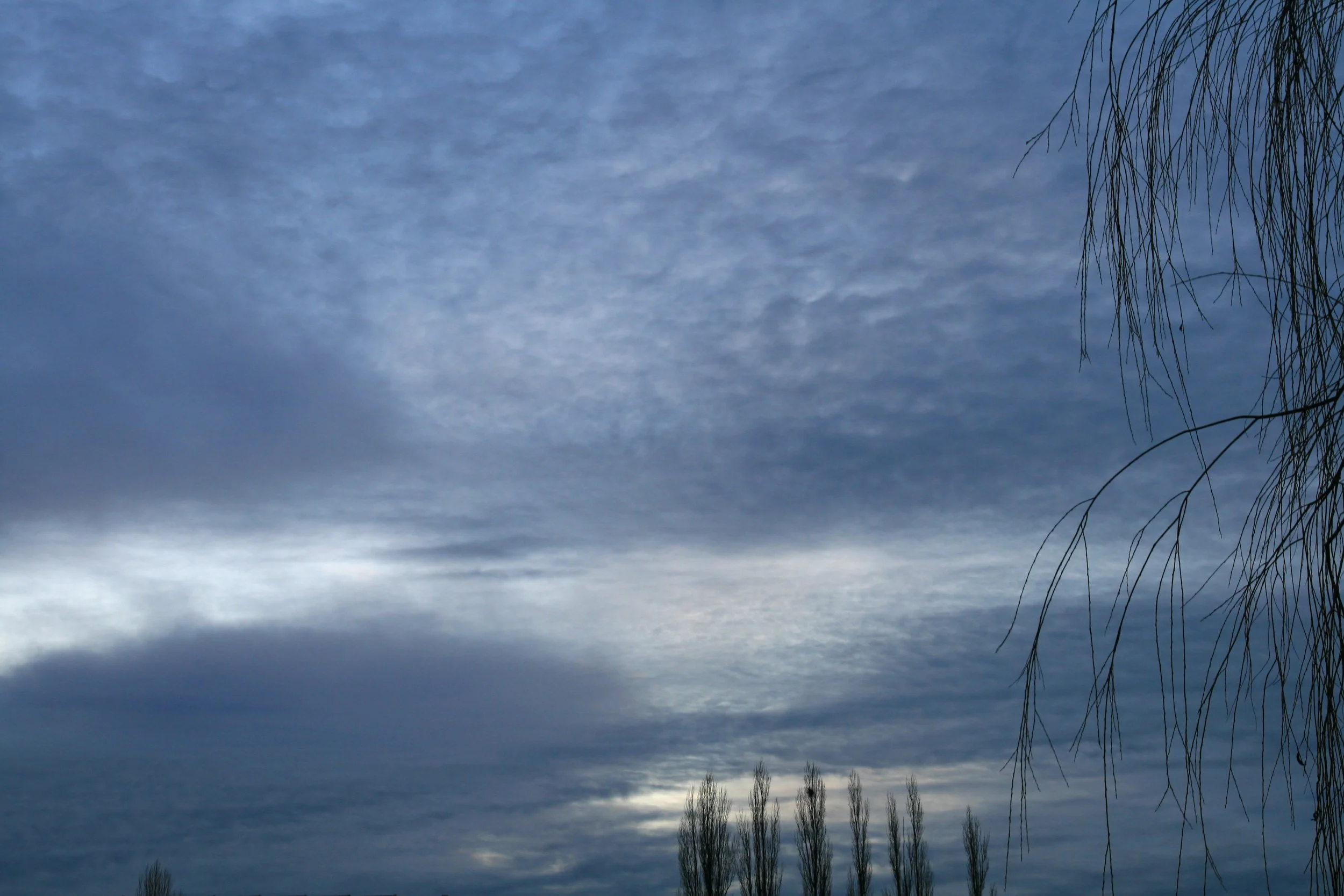 Overcast sky with clouds and bare tree branches in the foreground.