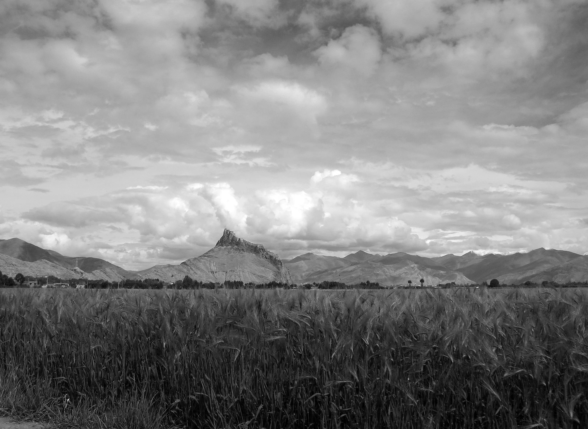 A black and white landscape photograph showing a wheat field in the foreground, with rugged mountains and a prominent rocky peak in the background under a partly cloudy sky.