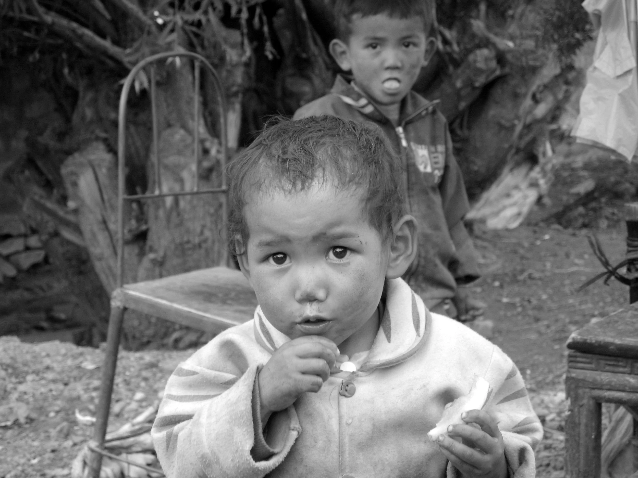 Black and white photo of two young children outdoors, one in the foreground eating a snack and looking at the camera, and one in the background with a surprised expression, surrounded by trees and rustic objects.