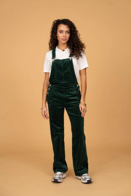 Capture d'écran 2025-12-24 063541.png