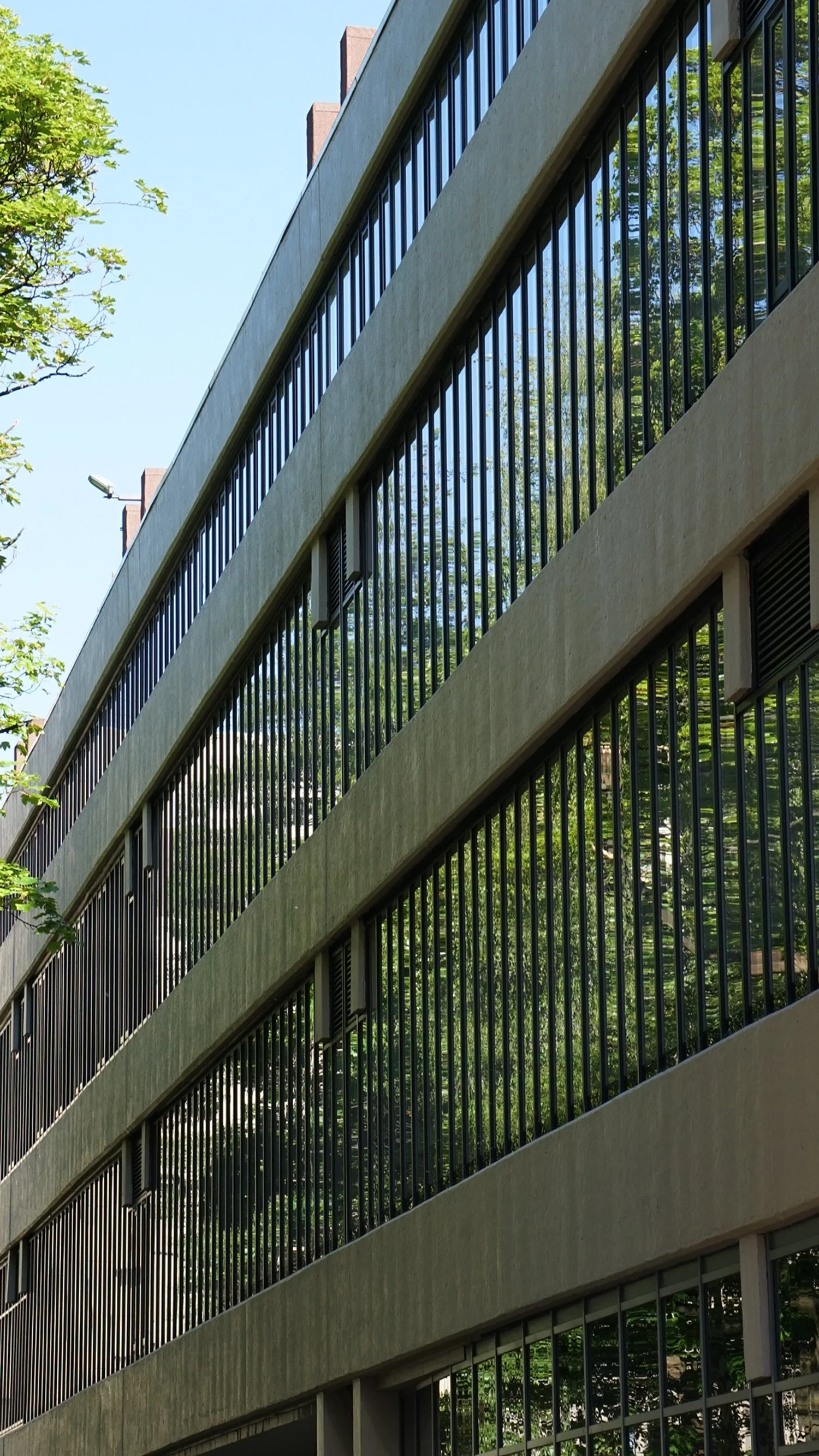Close-up of a modern multi-story building with large windows and vertical black metal bars, reflecting green trees and a blue sky.