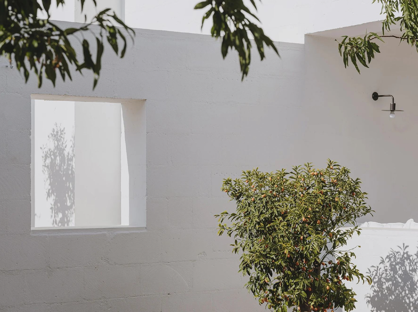 Captura de ecrã 2025-01-10, às 19.54.10.png