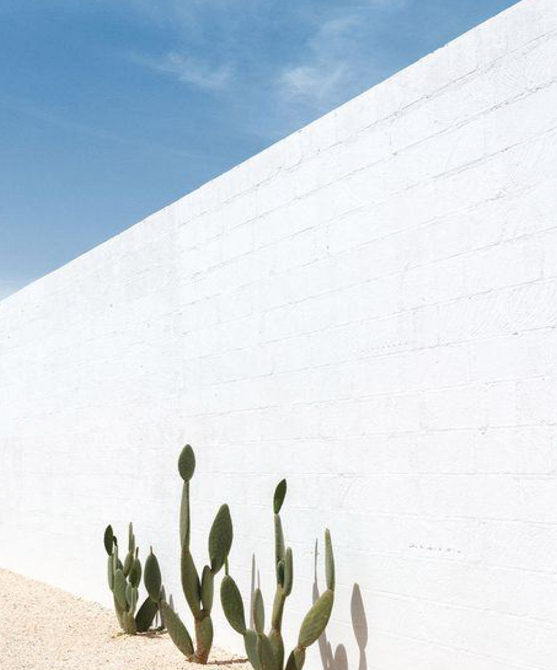 Captura de ecrã 2025-01-10, às 19.54.25.png