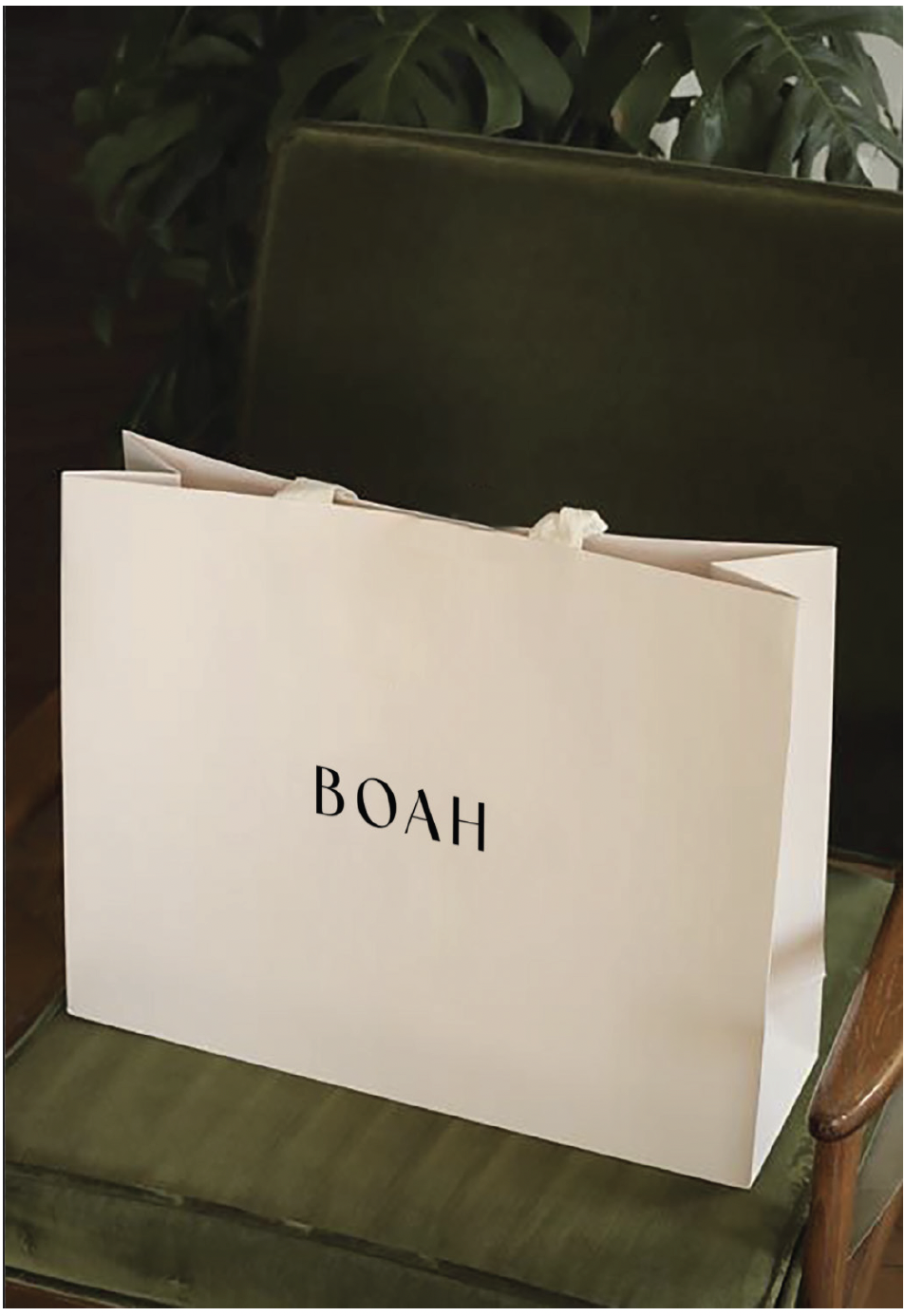 Captura de ecrã 2026-01-22, às 10.33.30.png