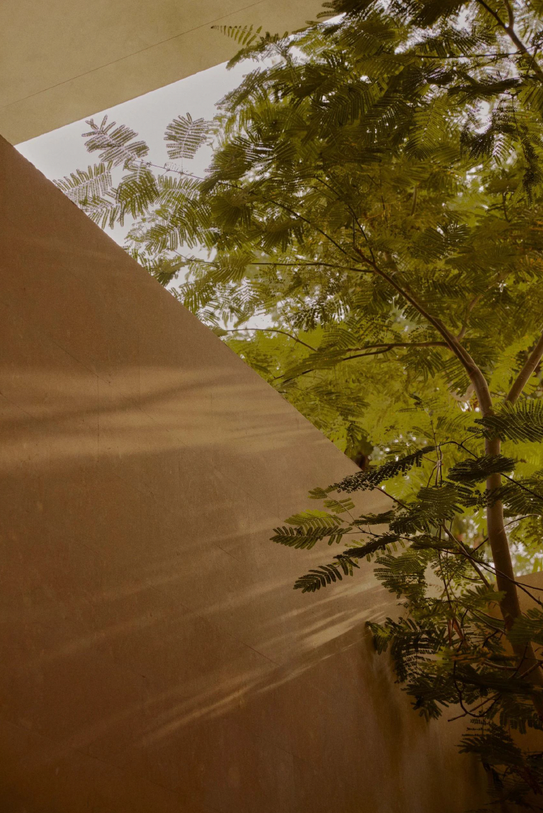 Captura de ecrã 2025-01-10, às 19.52.30.png