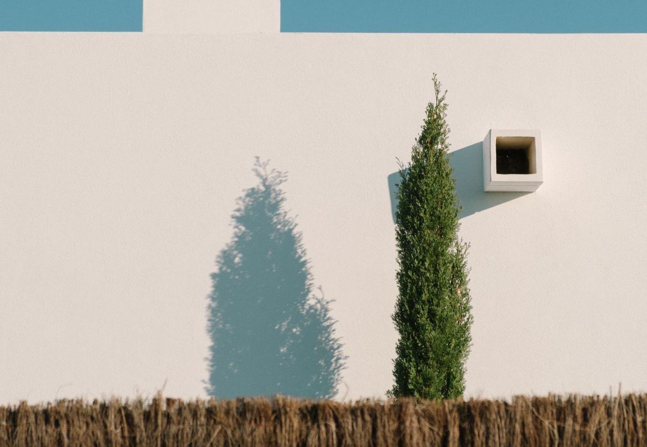 Captura de ecrã 2025-01-10, às 19.52.57.png