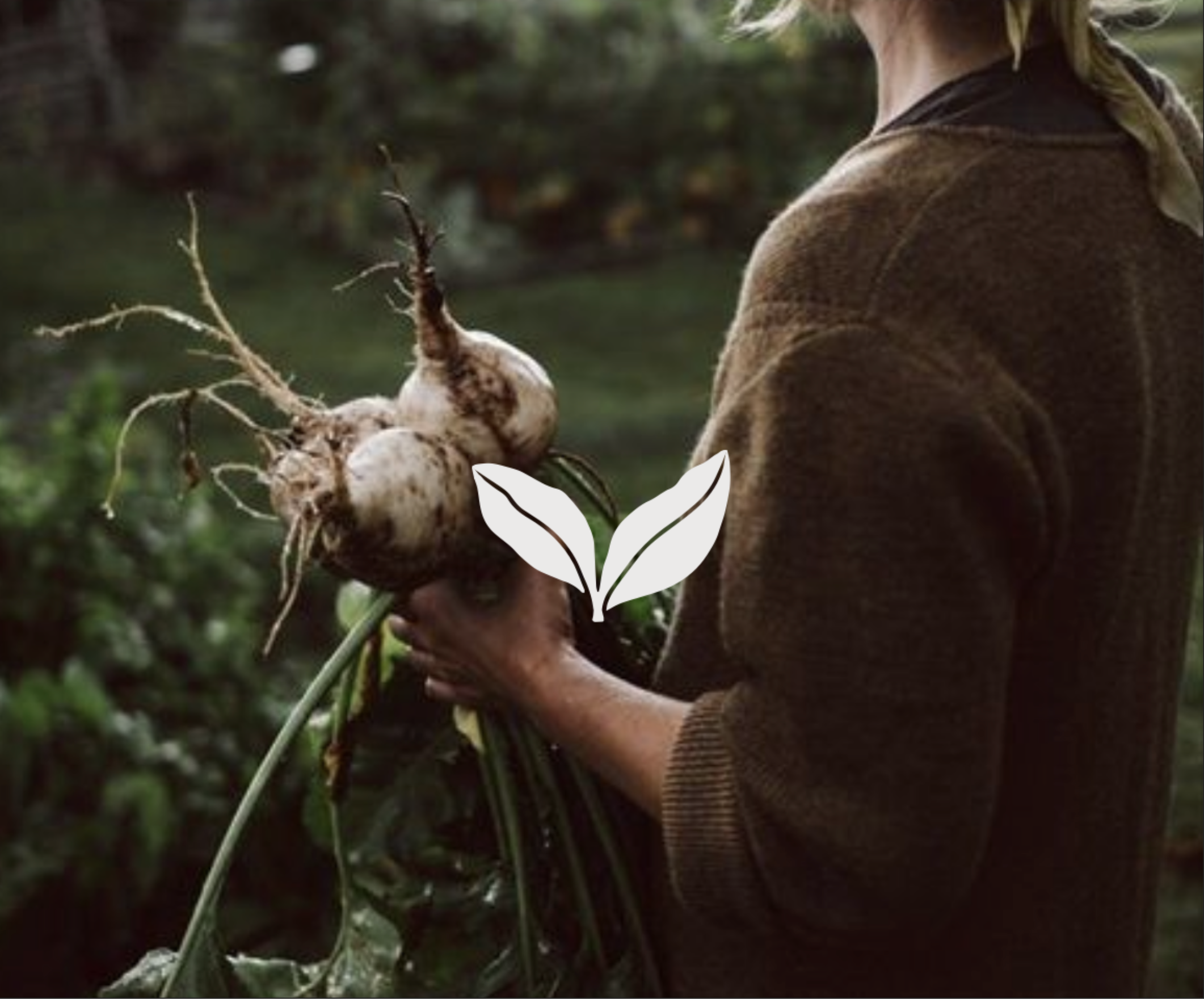 Captura de ecrã 2026-01-21, às 21.02.30.png