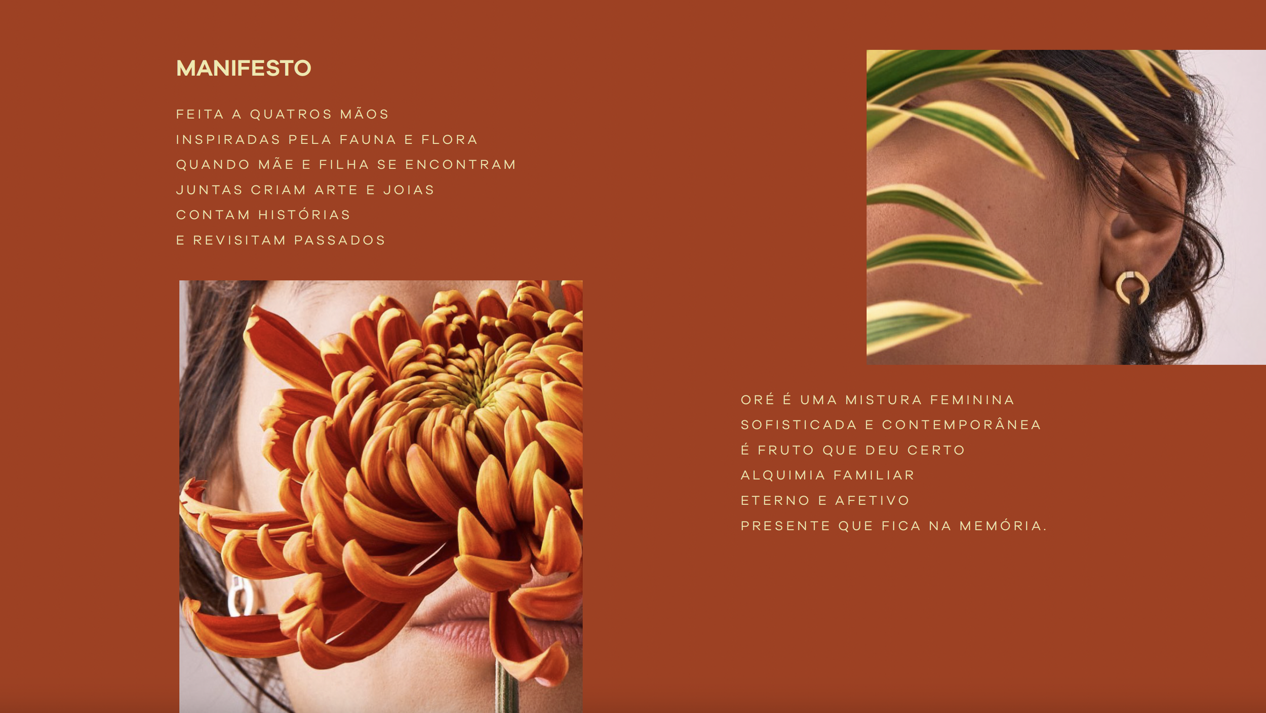 Captura de ecrã 2026-01-21, às 20.31.21.png