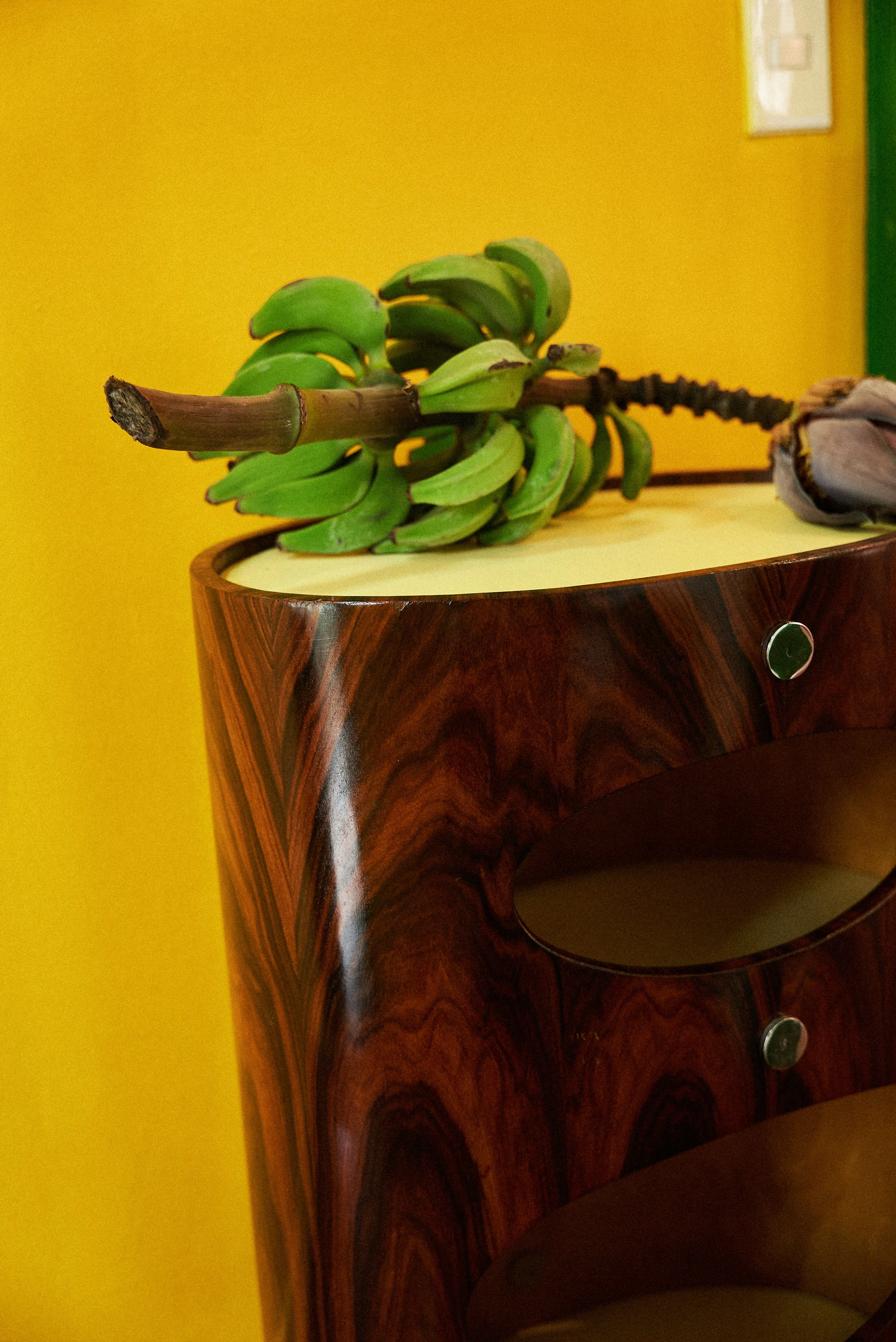 ARA_GAVEA_FOTOS 13.jpg