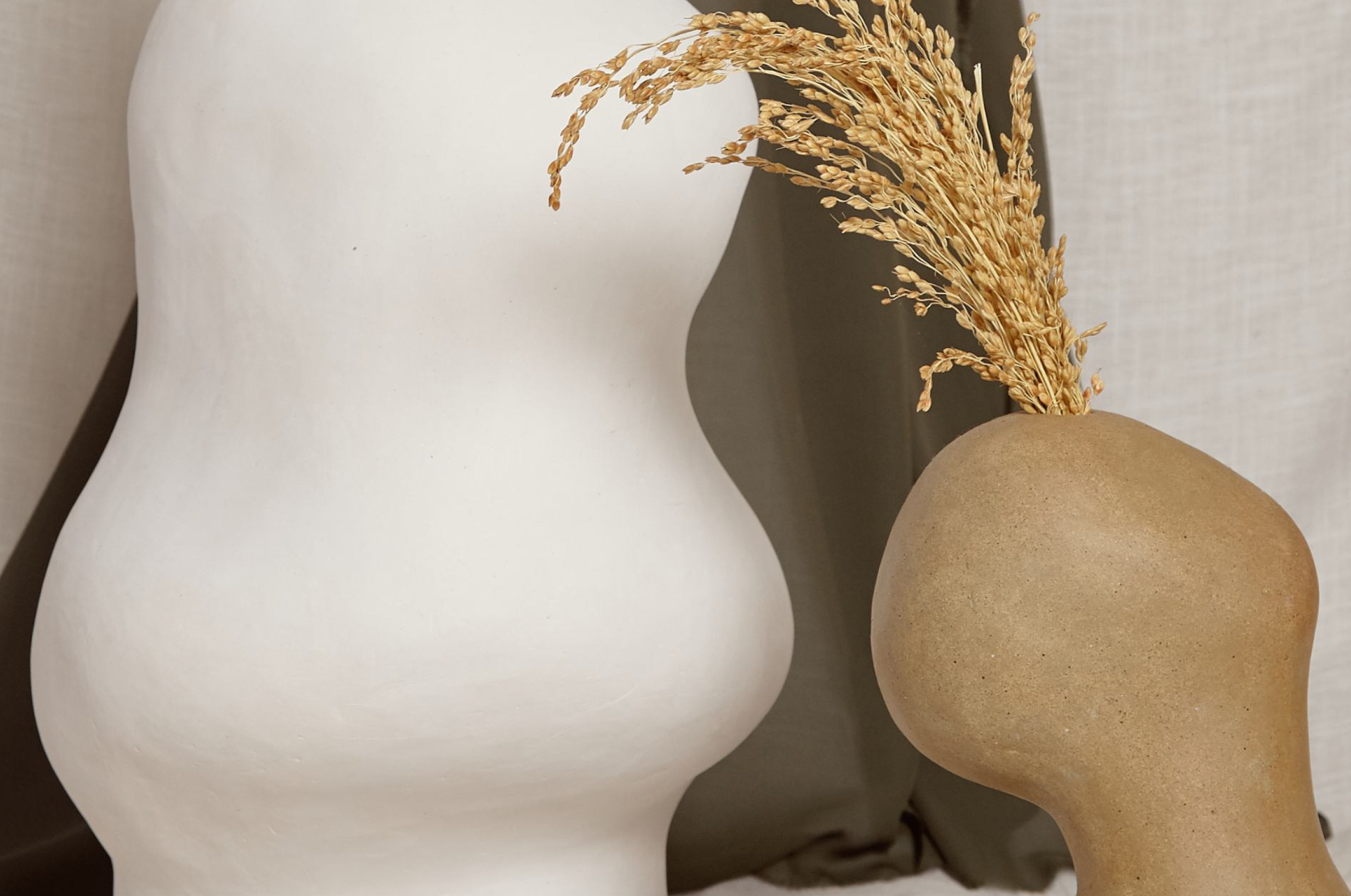 Captura de ecrã 2025-01-10, às 19.54.52.png