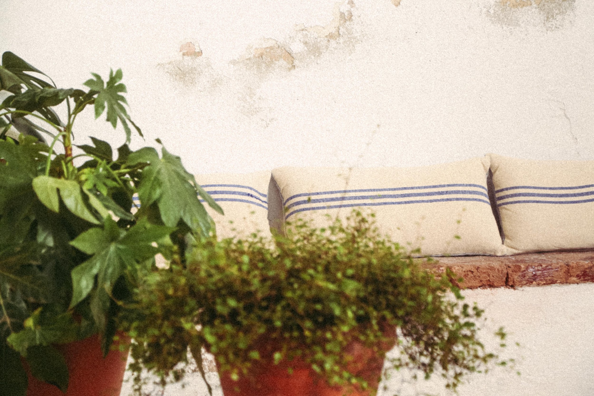 Duas-4891 - cópia.jpg