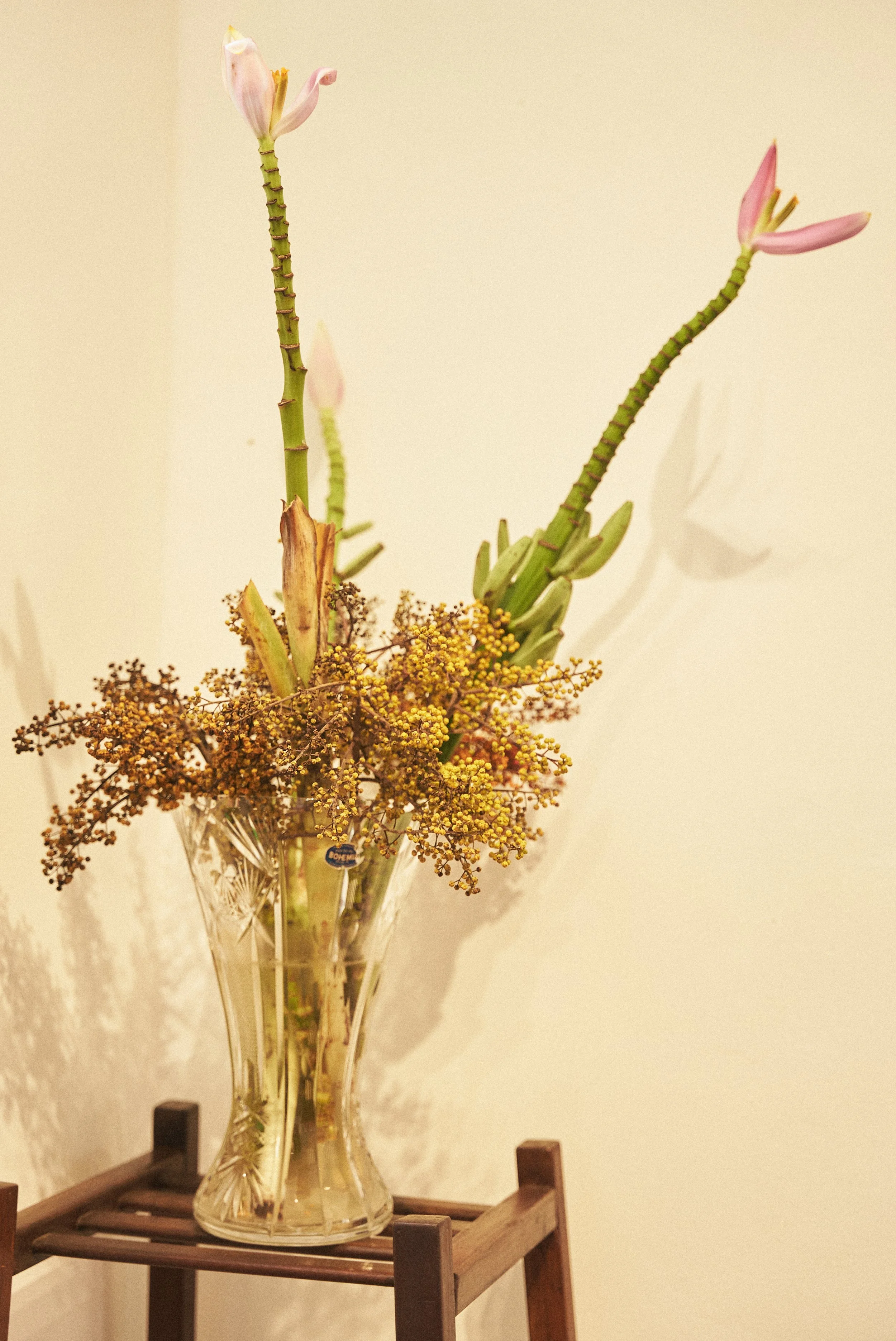 ARA_GAVEA_FOTOS 16.jpg