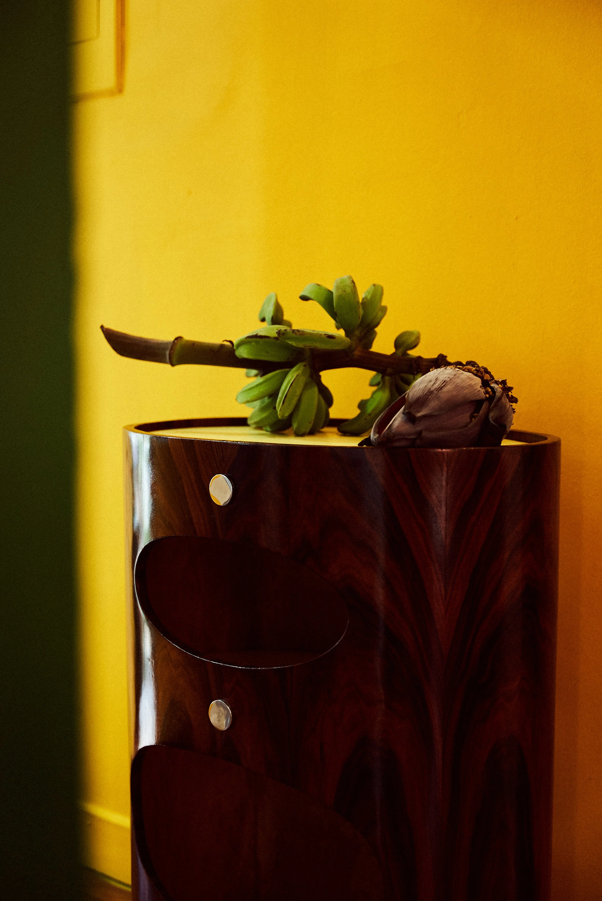 ARA_GAVEA_FOTOS 38.jpg