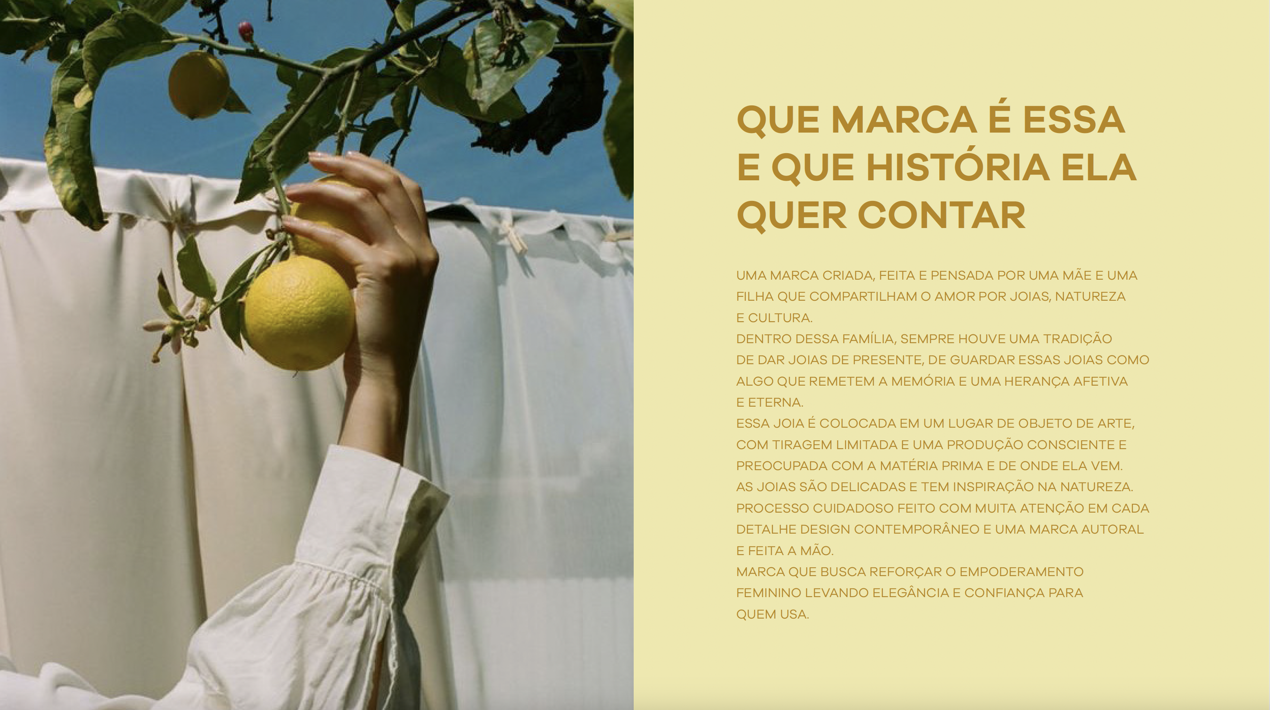 Captura de ecrã 2026-01-22, às 11.17.37.png