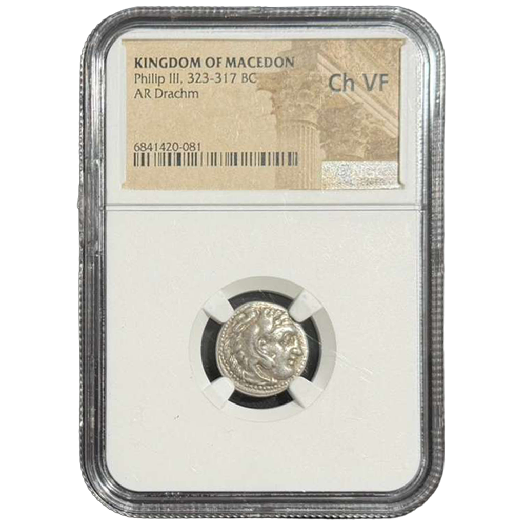 WhatsApp Image 2026-02-18 at 4.34.59 PM (1).png