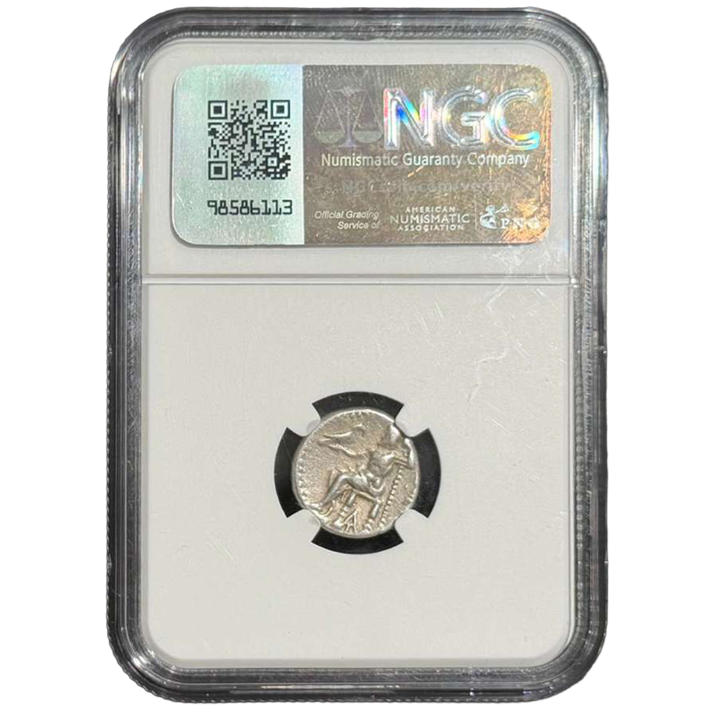 WhatsApp Image 2026-02-18 at 4.34.59 PM.png