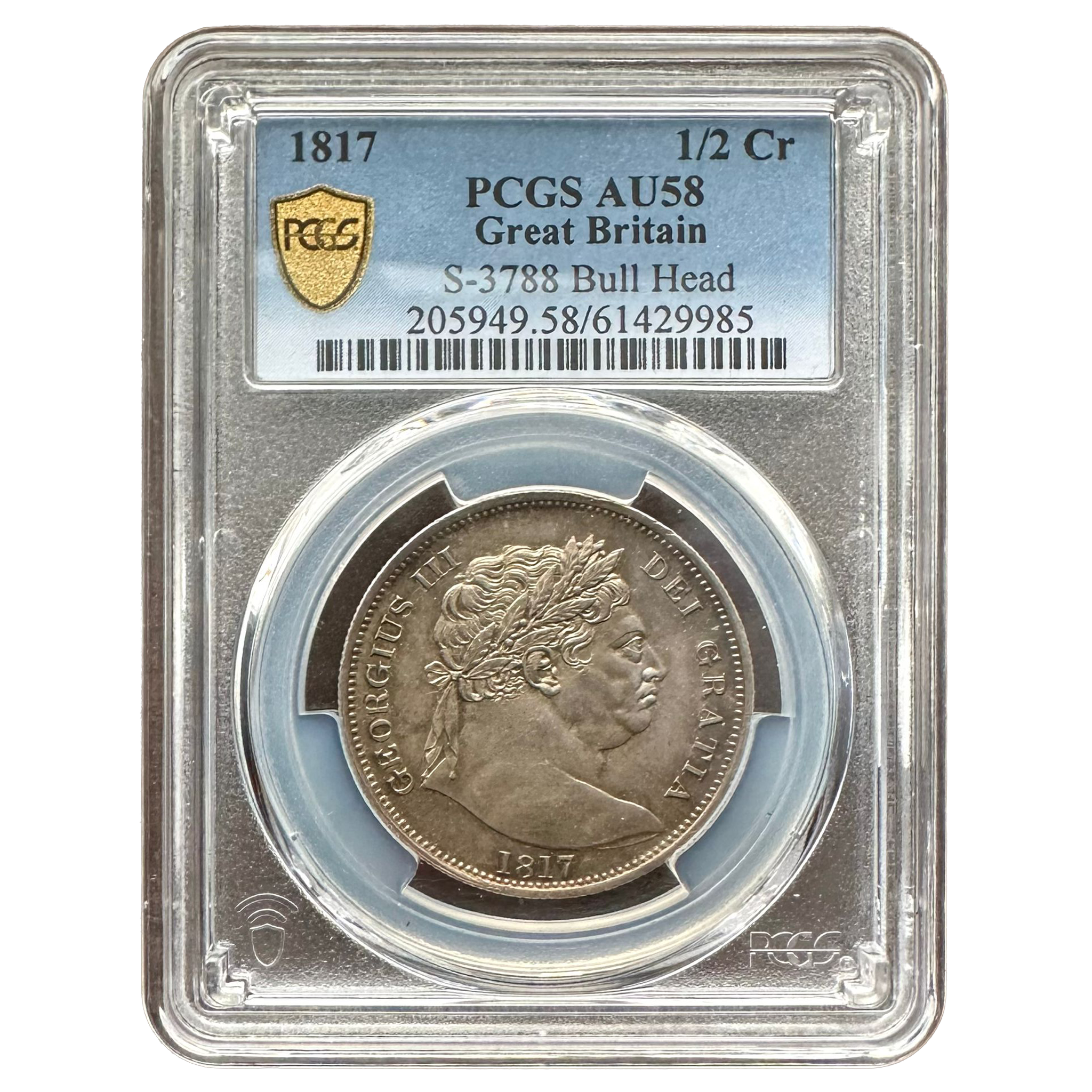 WhatsApp Image 2026-02-19 at 1.19.50 AM.png