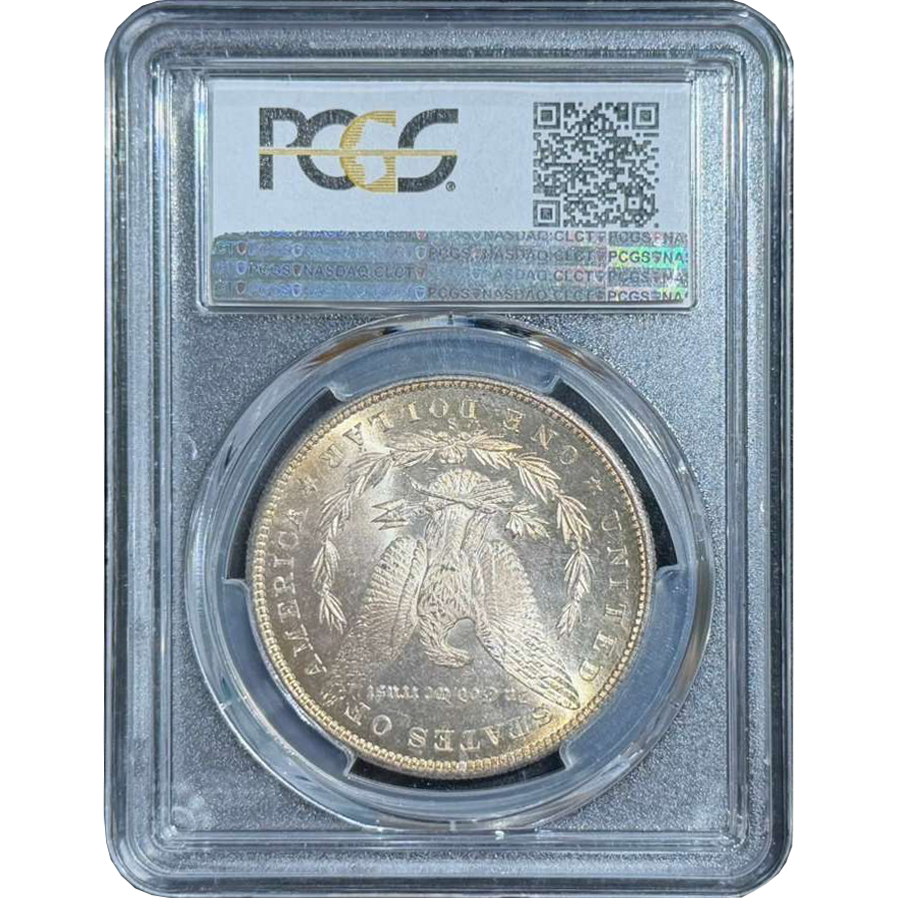 WhatsApp Image 2026-02-18 at 4.41.45 PM.png