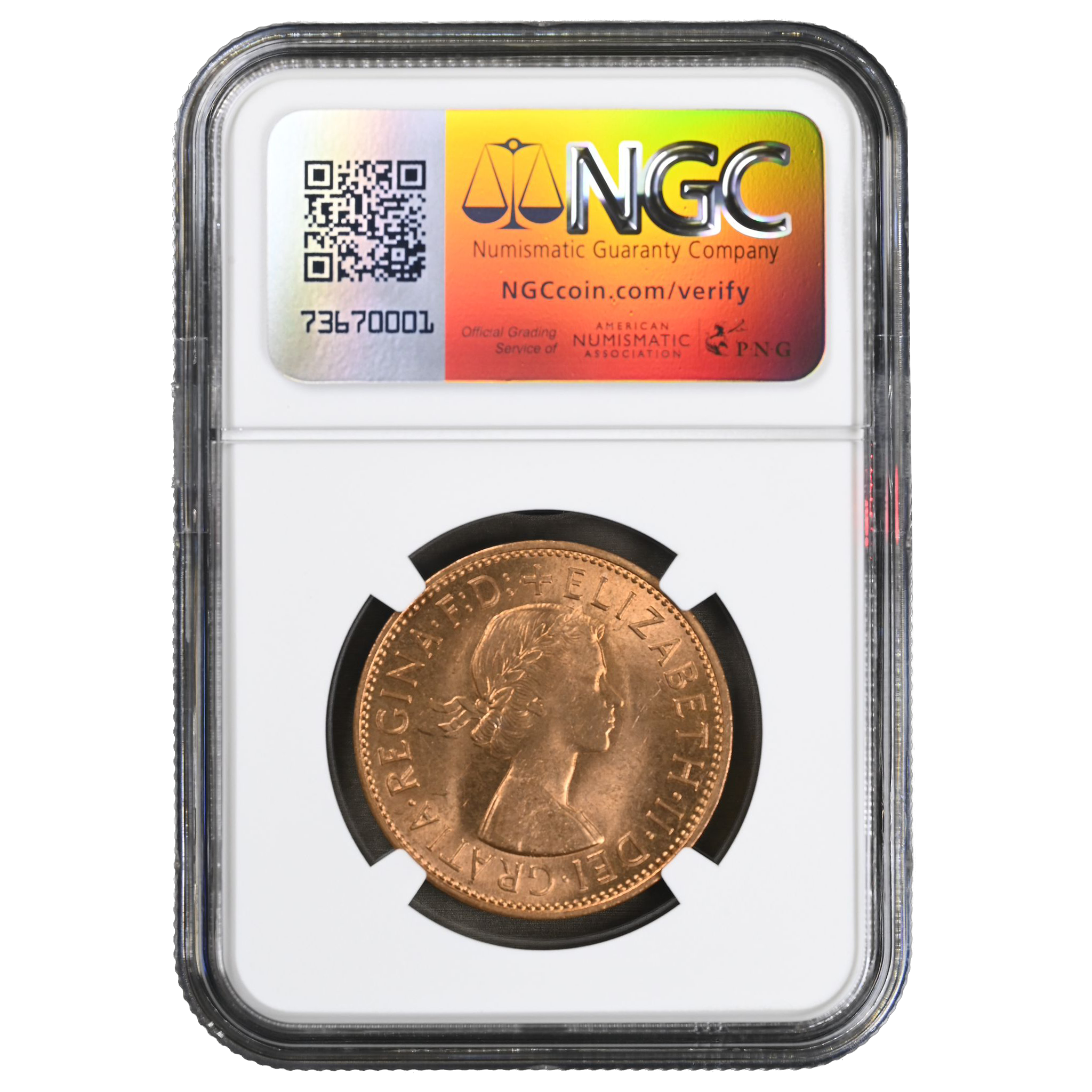 WhatsApp Image 2026-01-19 at 1.48.54 AM1.png